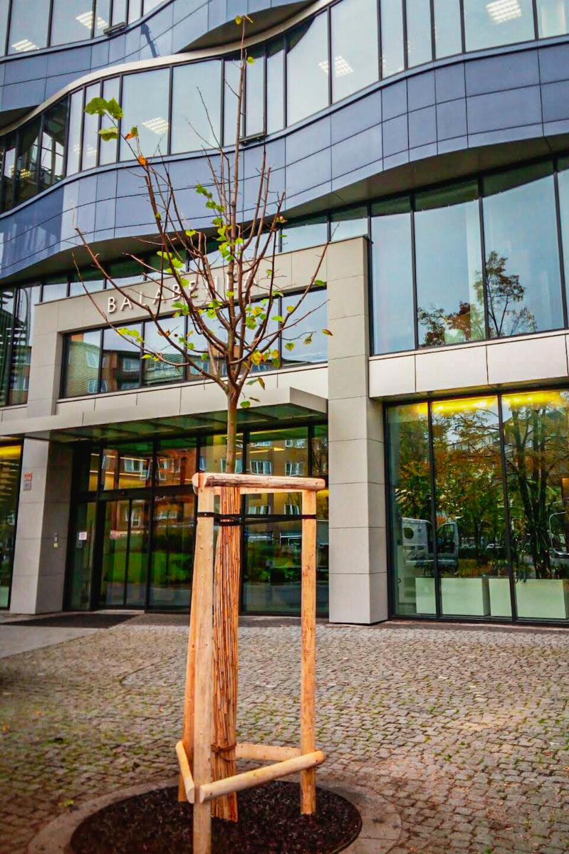 Nela Zahradnice foto 2