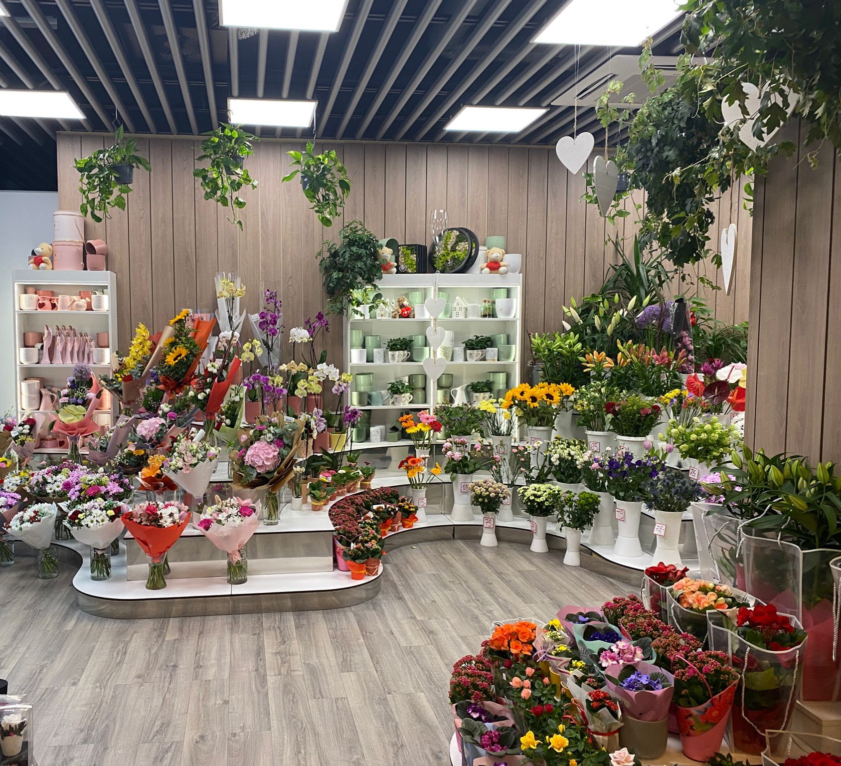 Květiny Novák foto 4