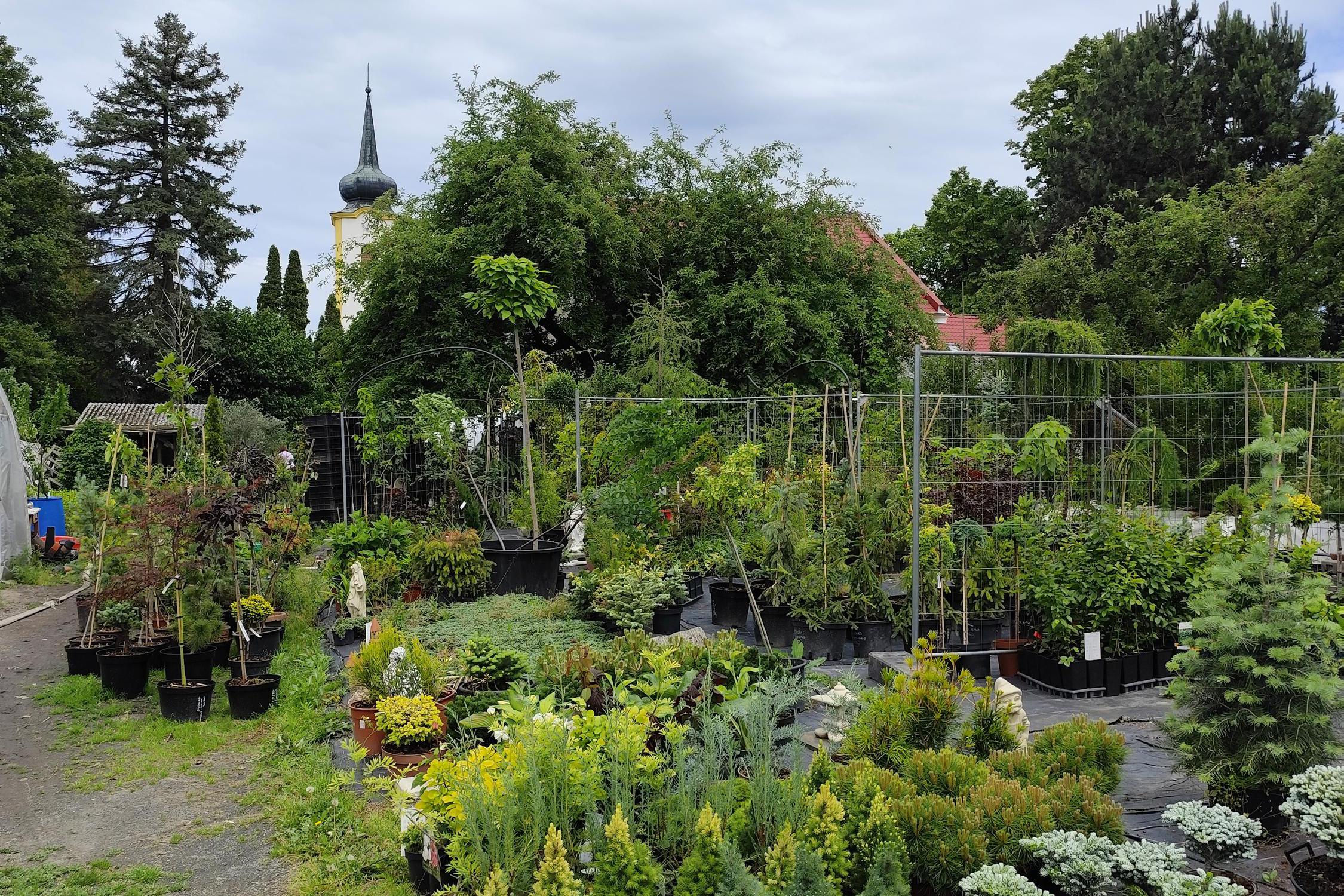 Zahradnictví Smrček a Borovička