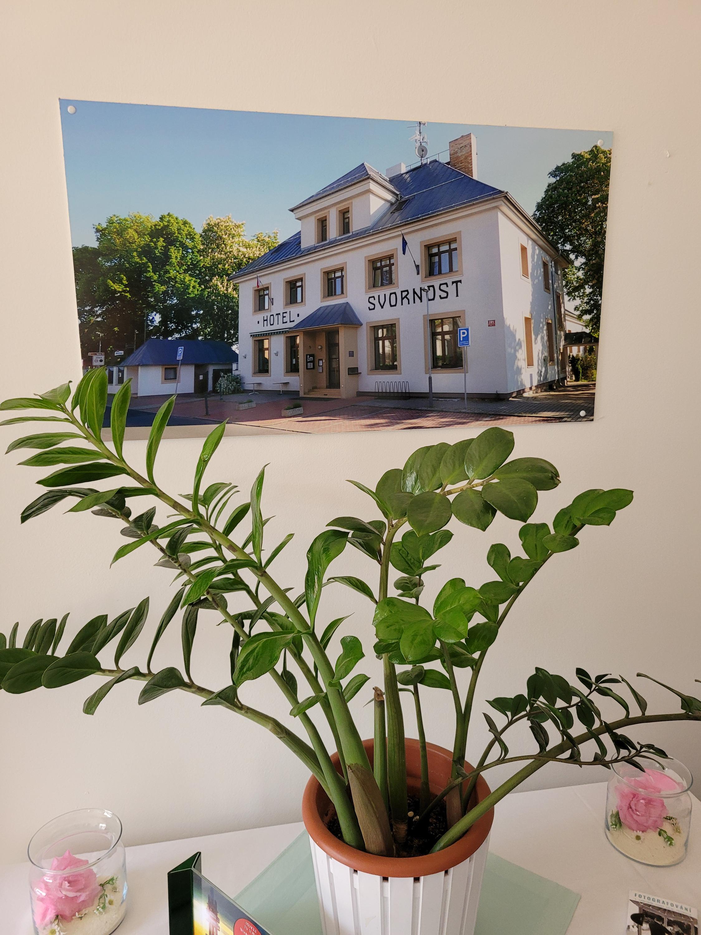 SVORNOST, spol. s r.o. foto 3