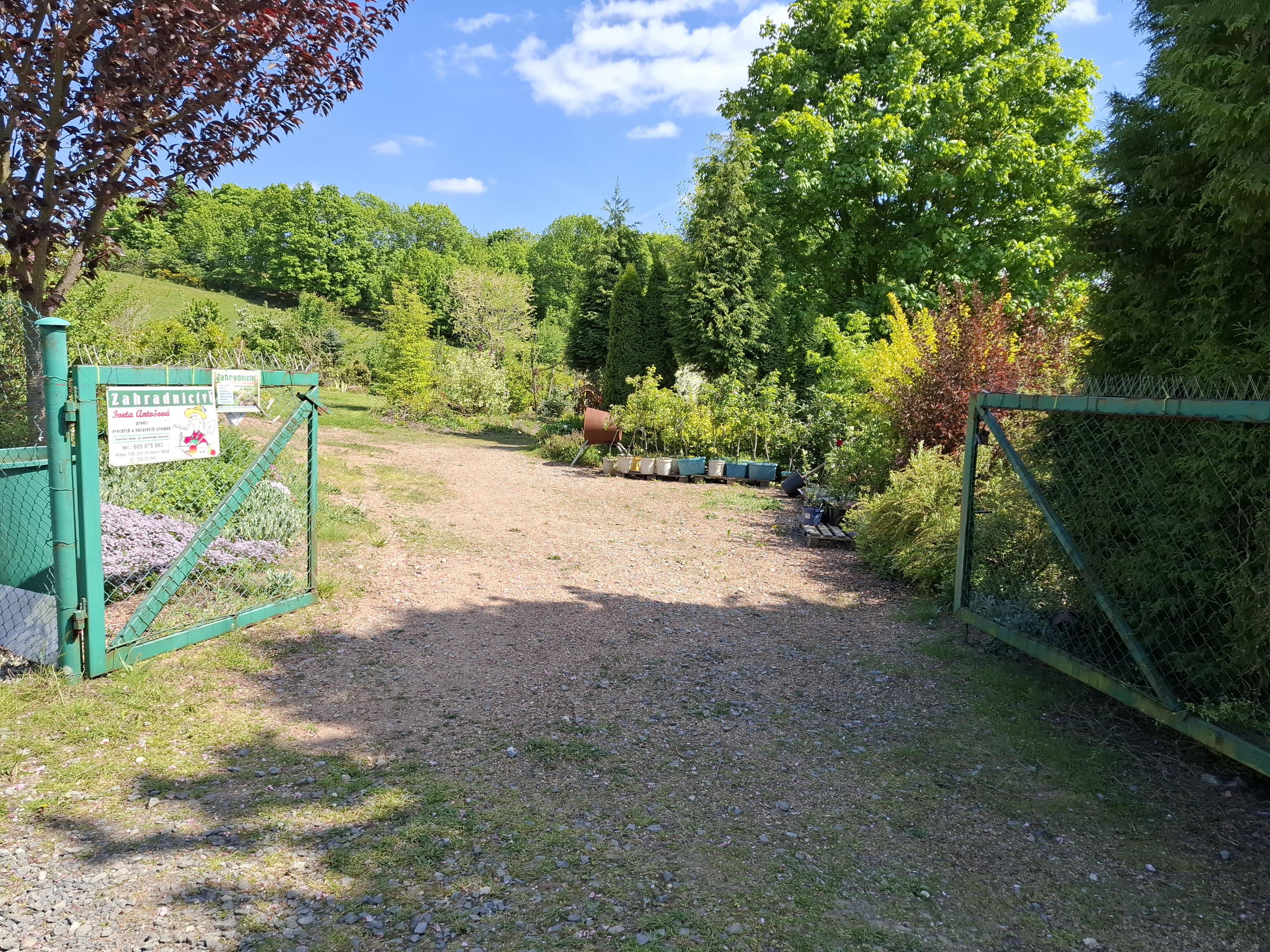 Zahradnictví Iveta Antošová foto 2