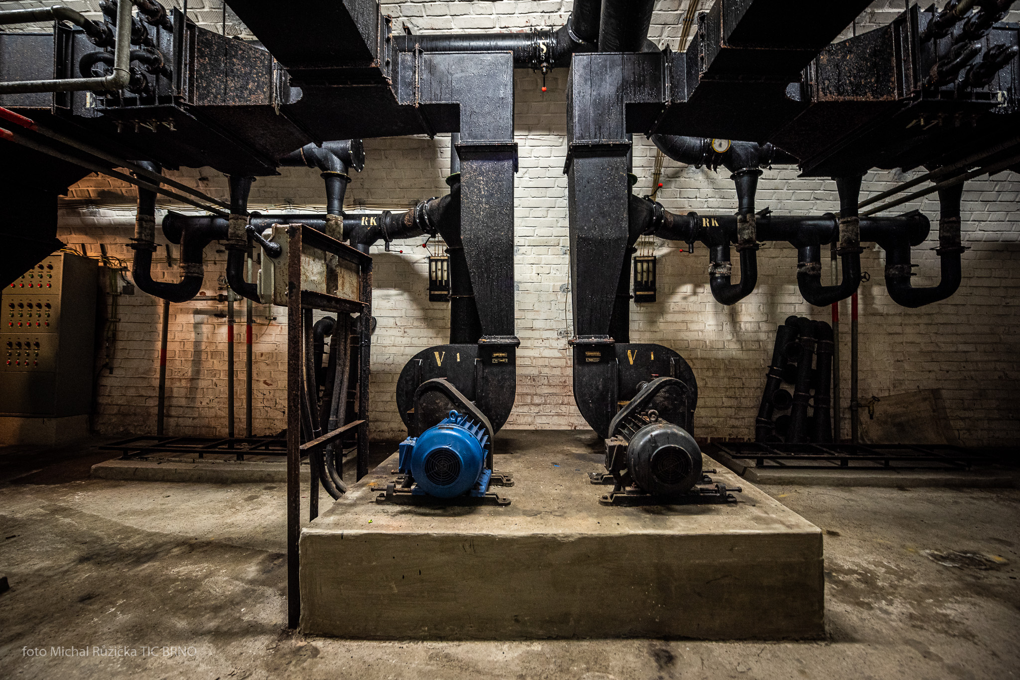 Kryt Denis pod Petrovem foto 2