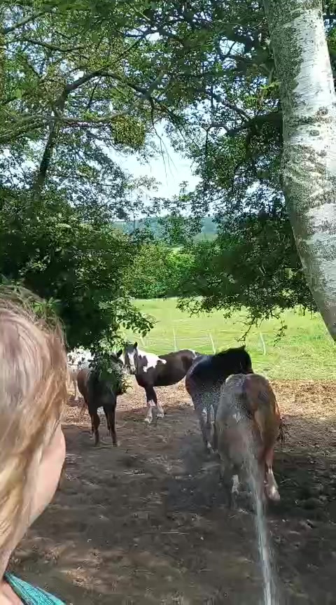 Ranč U Sovy - osada soví hnízdo foto 2 (náhled videa)