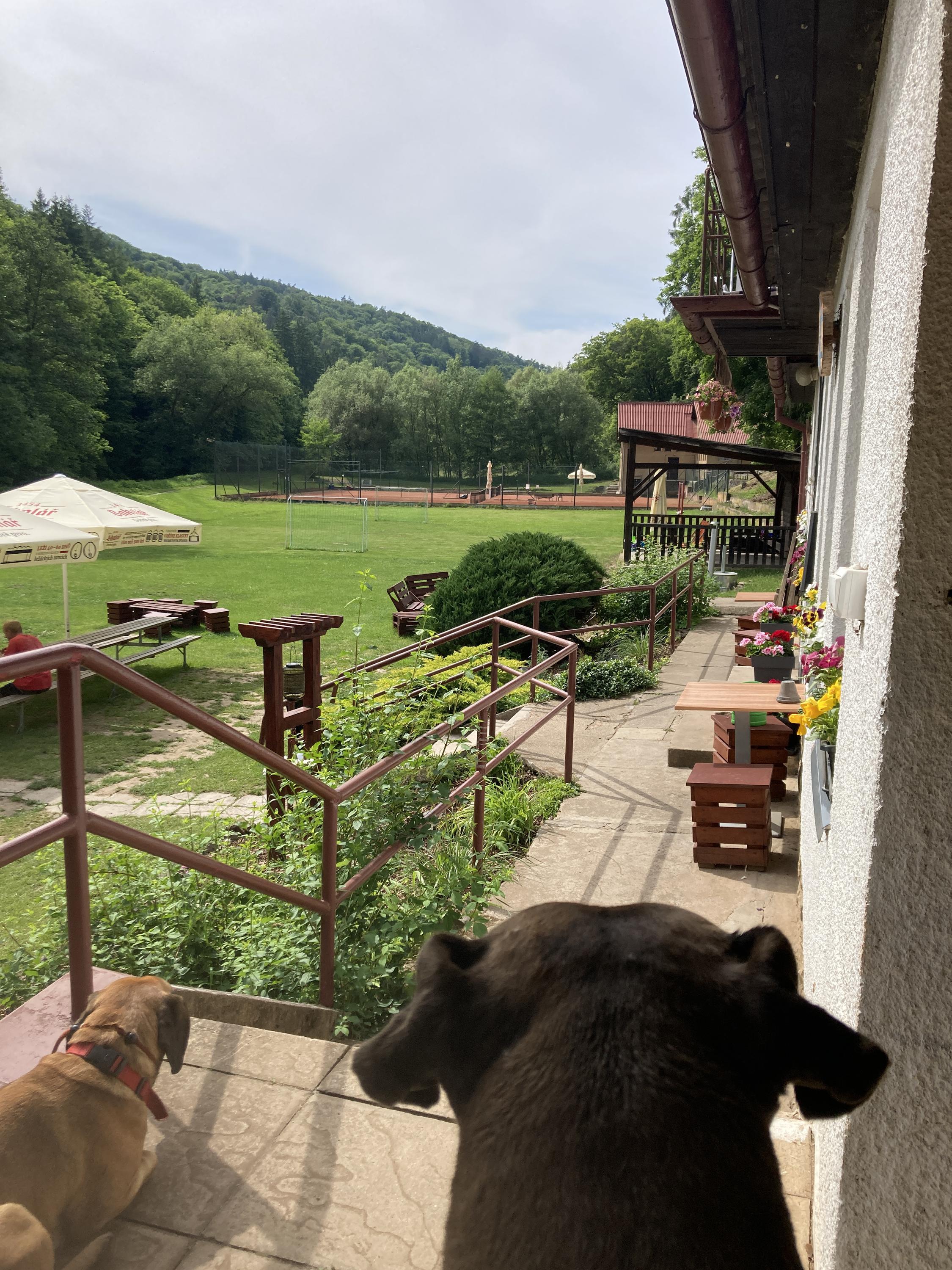 Bistro U Kolečka foto 4