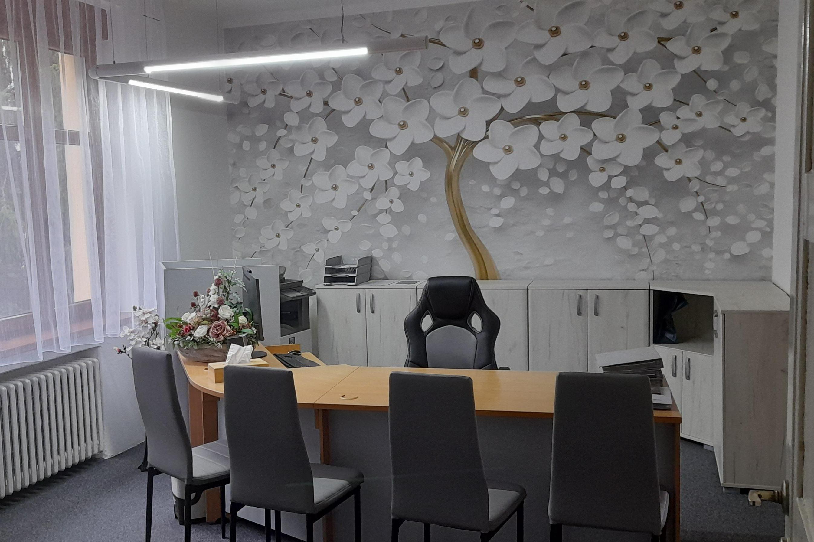 Pohřební služby Bc. Renáta Březinová Benešová, BBA