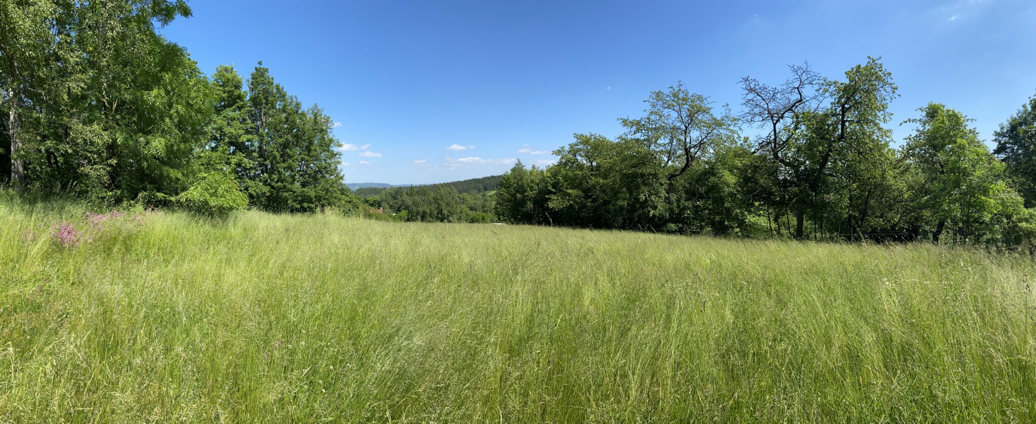 Dětský lesní klub HraLES foto 4