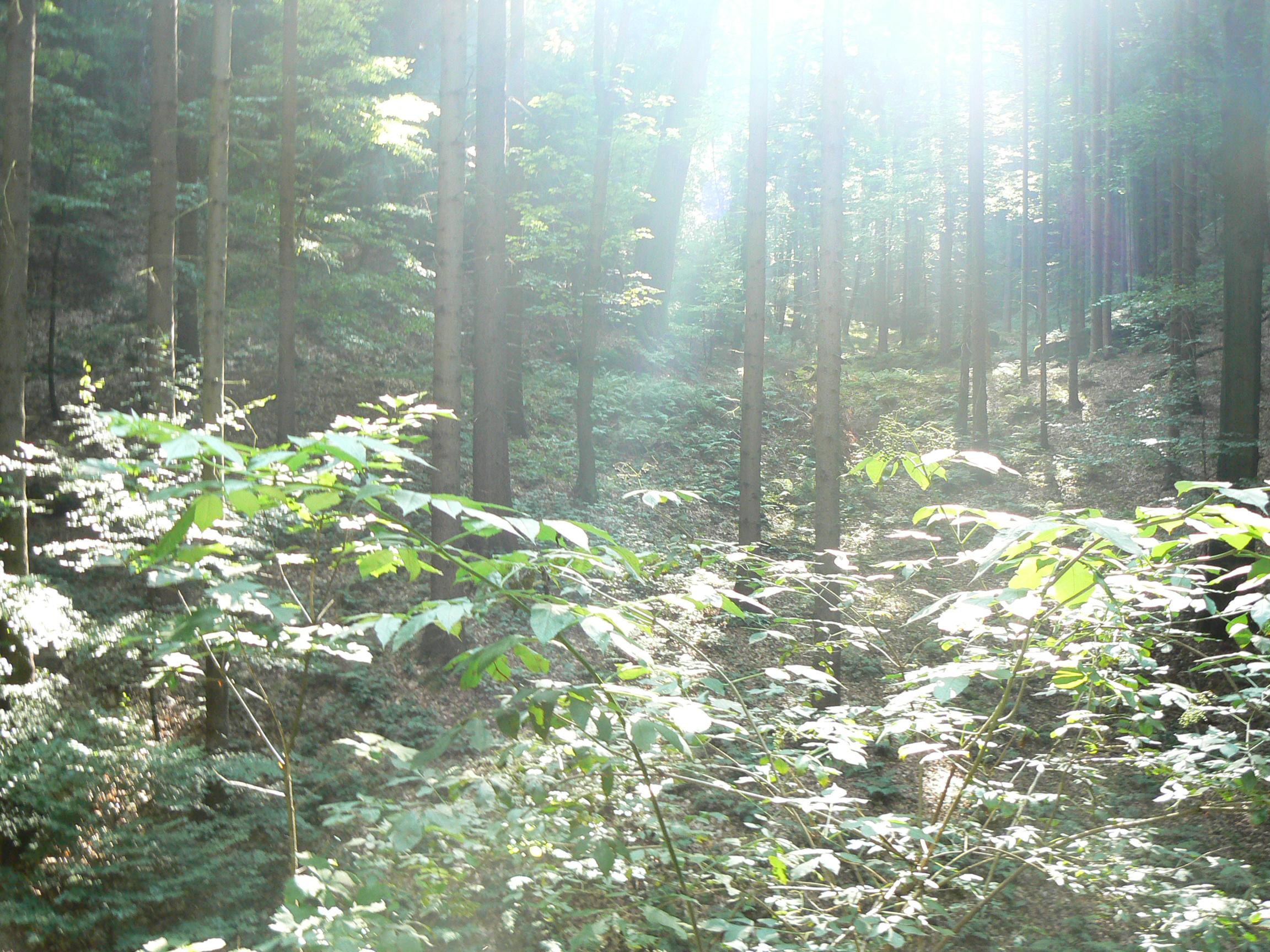 Rekreační středisko Český ráj foto 6