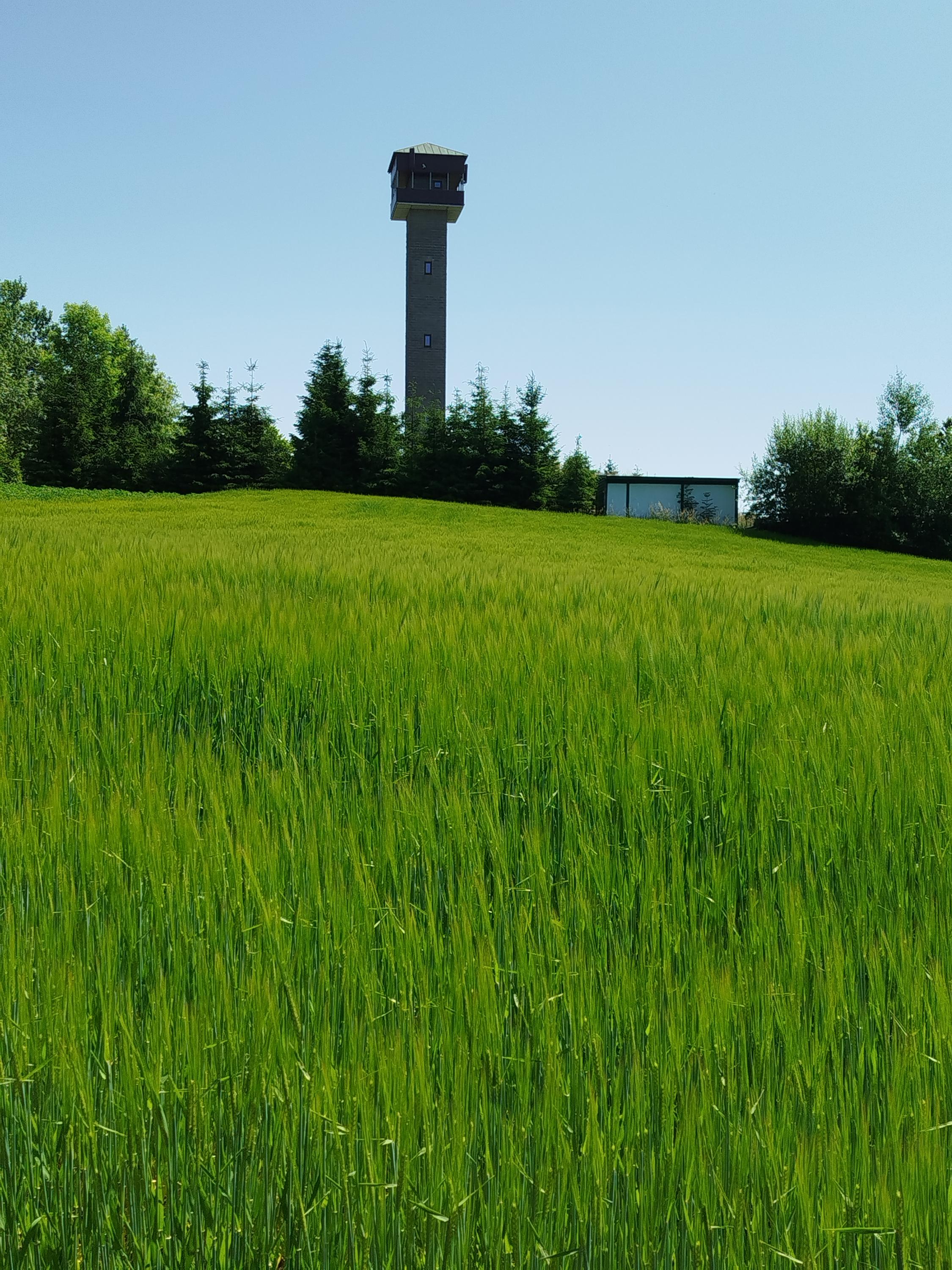 Občerstvení u rozhledny foto 3