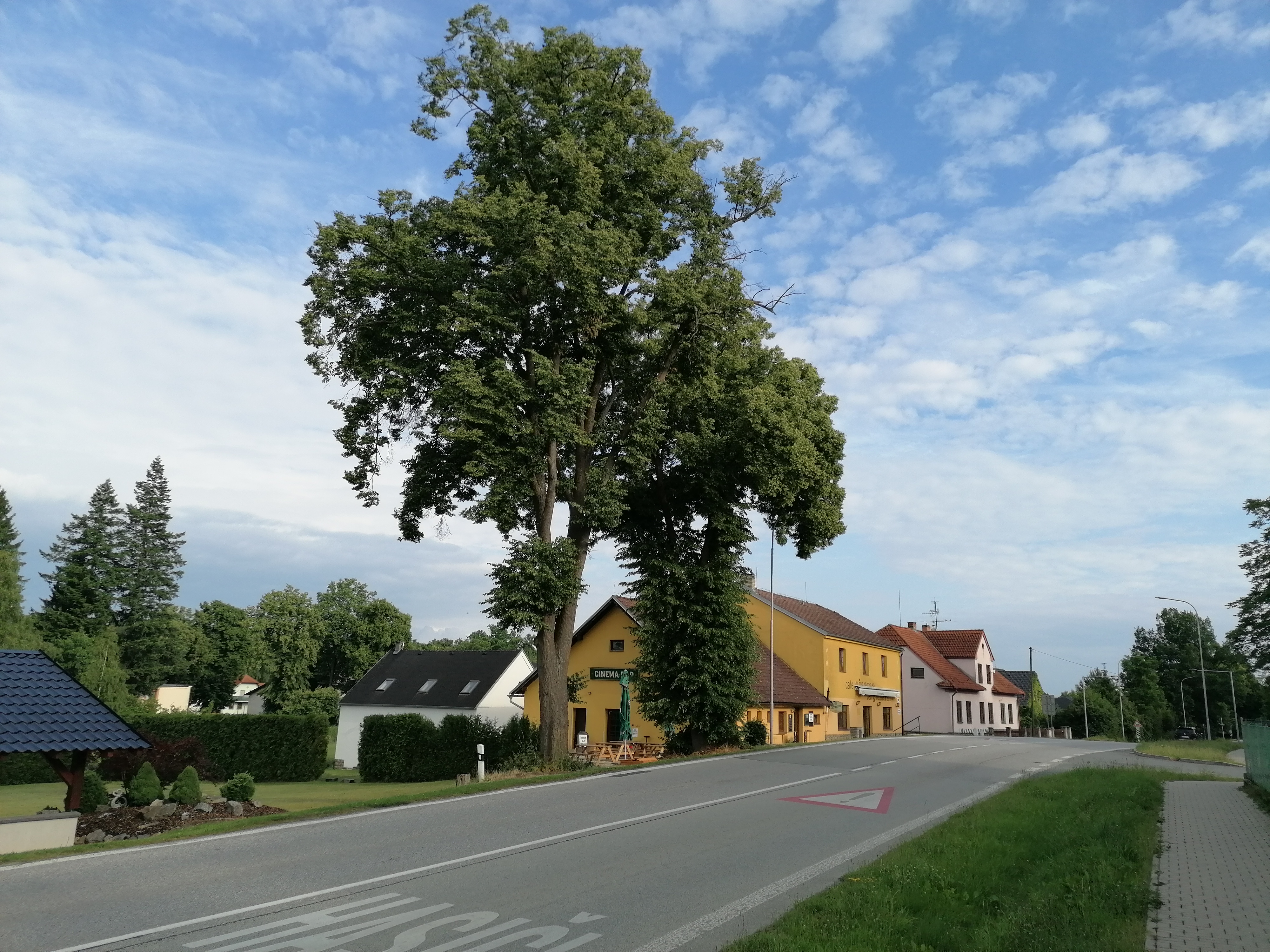 Cafe Cinema Bar & restaurant foto 2