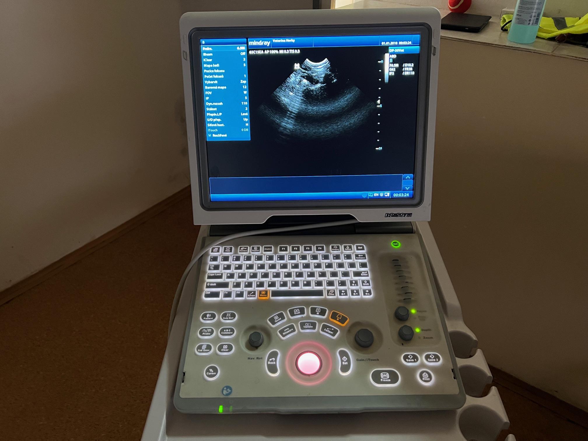 Sonografické vyšetření zvířat