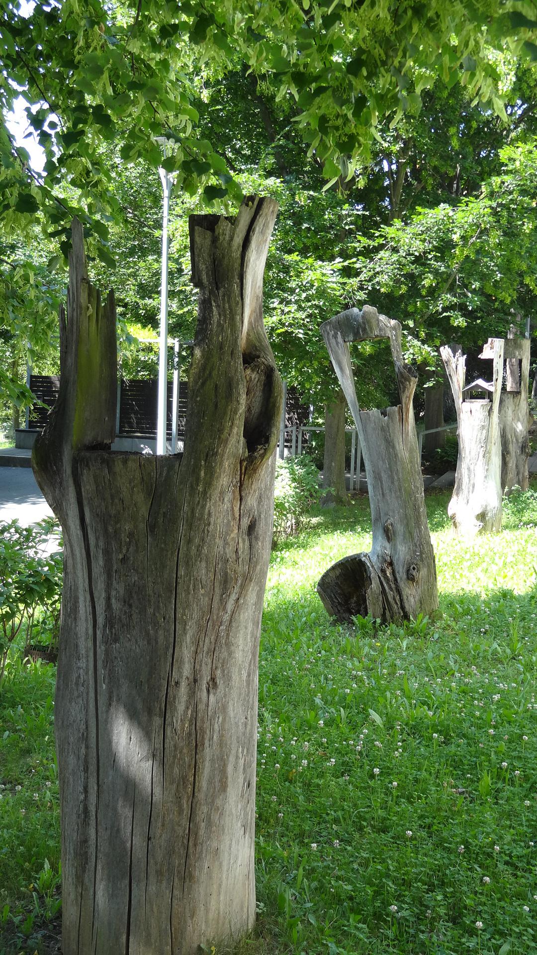 Úřad městské části Brno-Komín foto 3