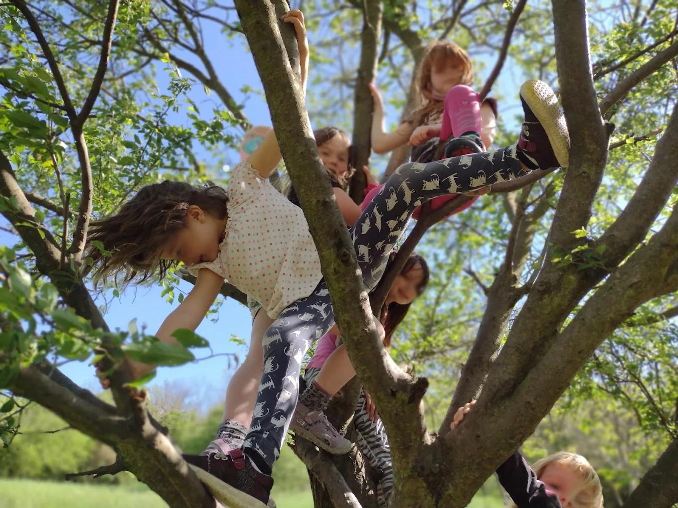 Lesní školka Rybička foto 3