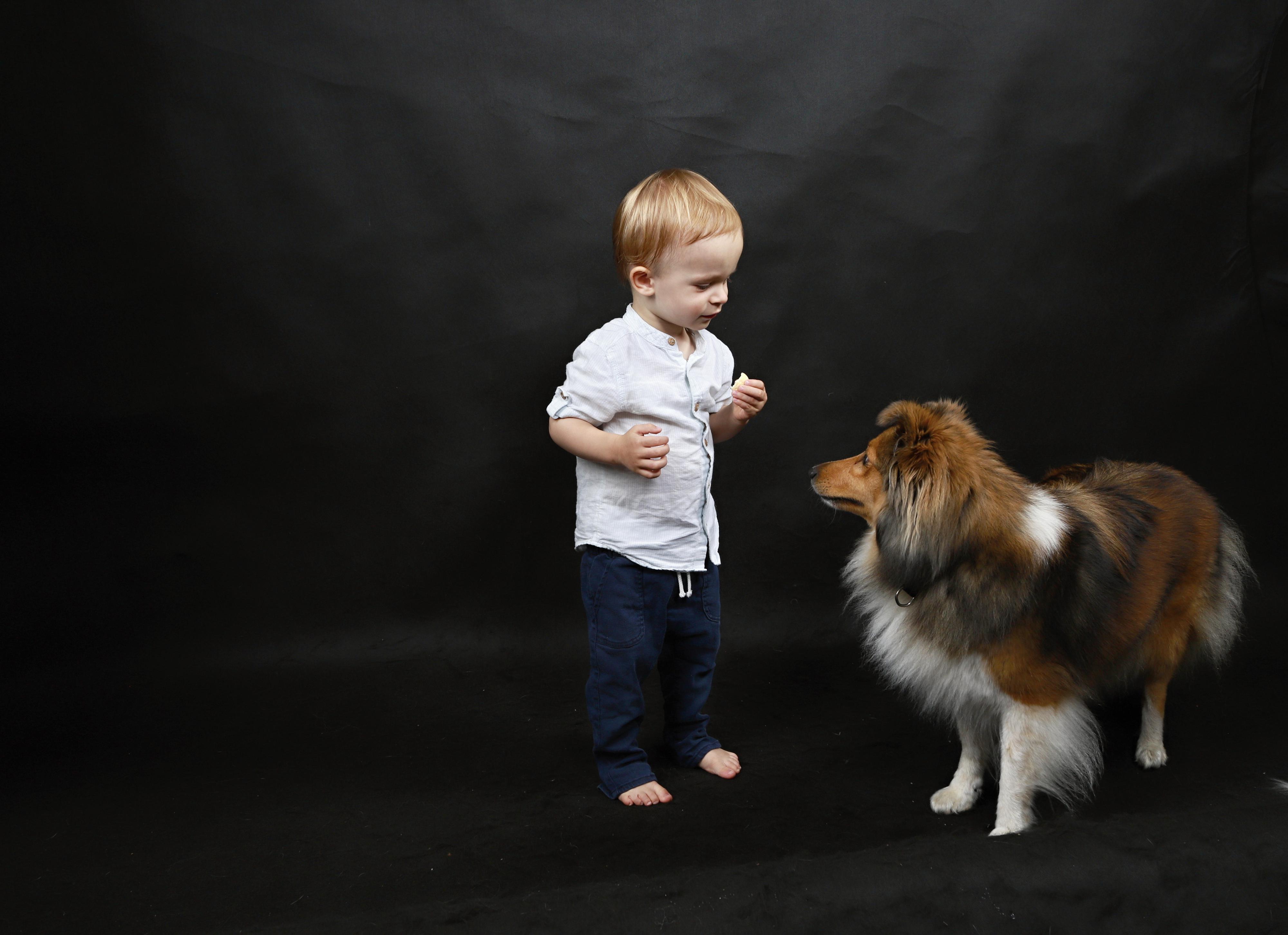 Fotografování psů a jiných domácích mazlíčků