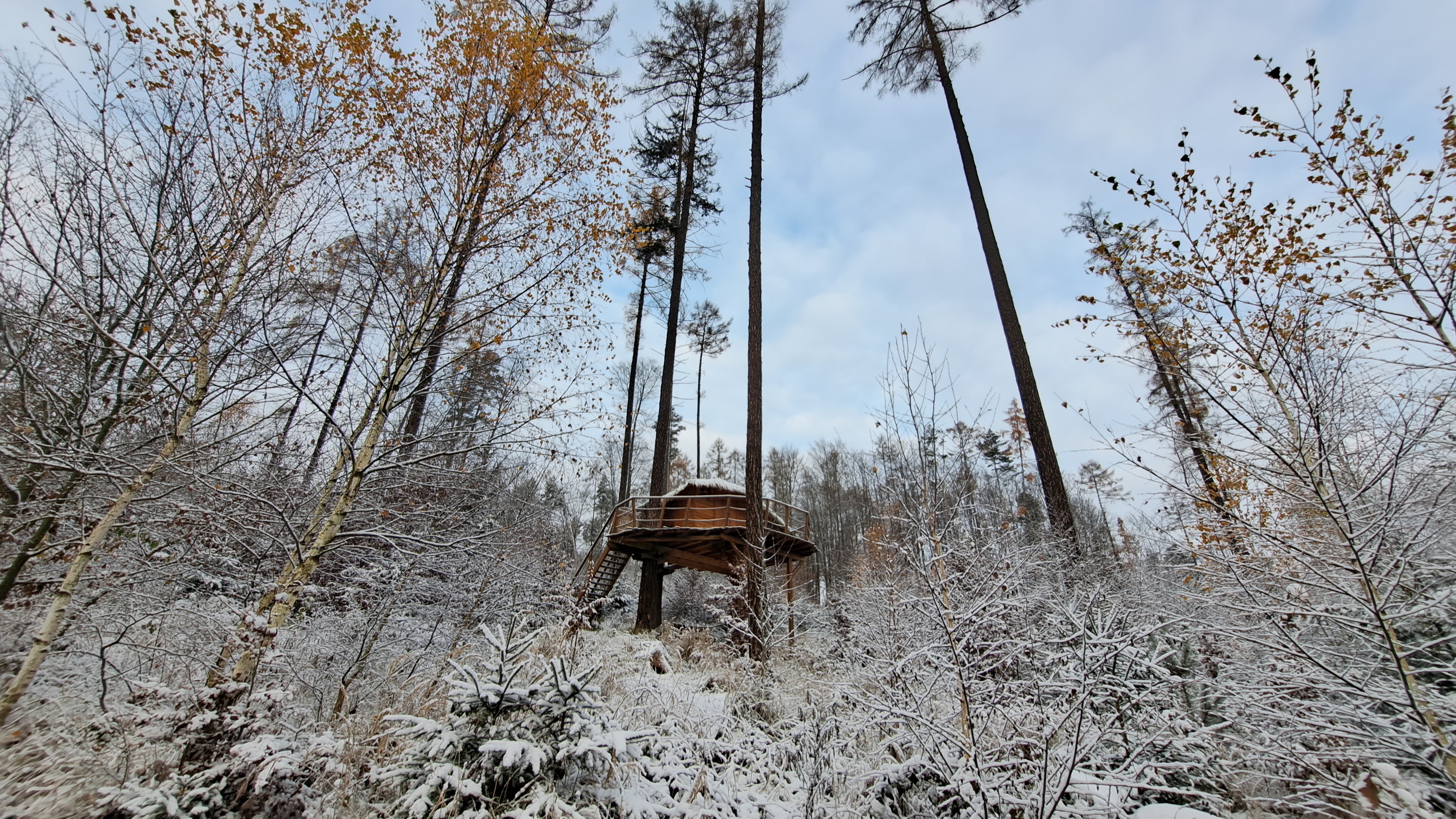 Tree House U Jezevce foto 4