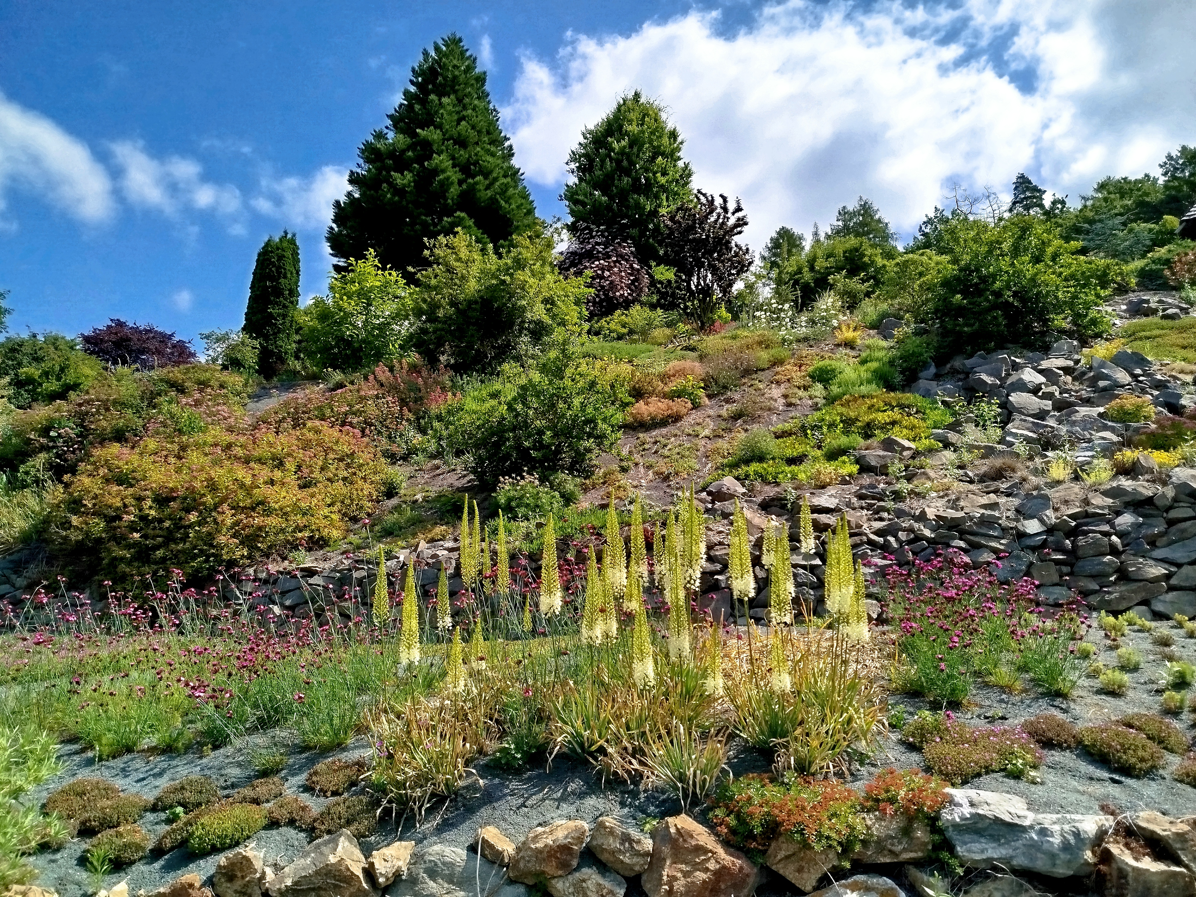 Ing. Radim Slabý - Arboretum Makču Pikču foto 3