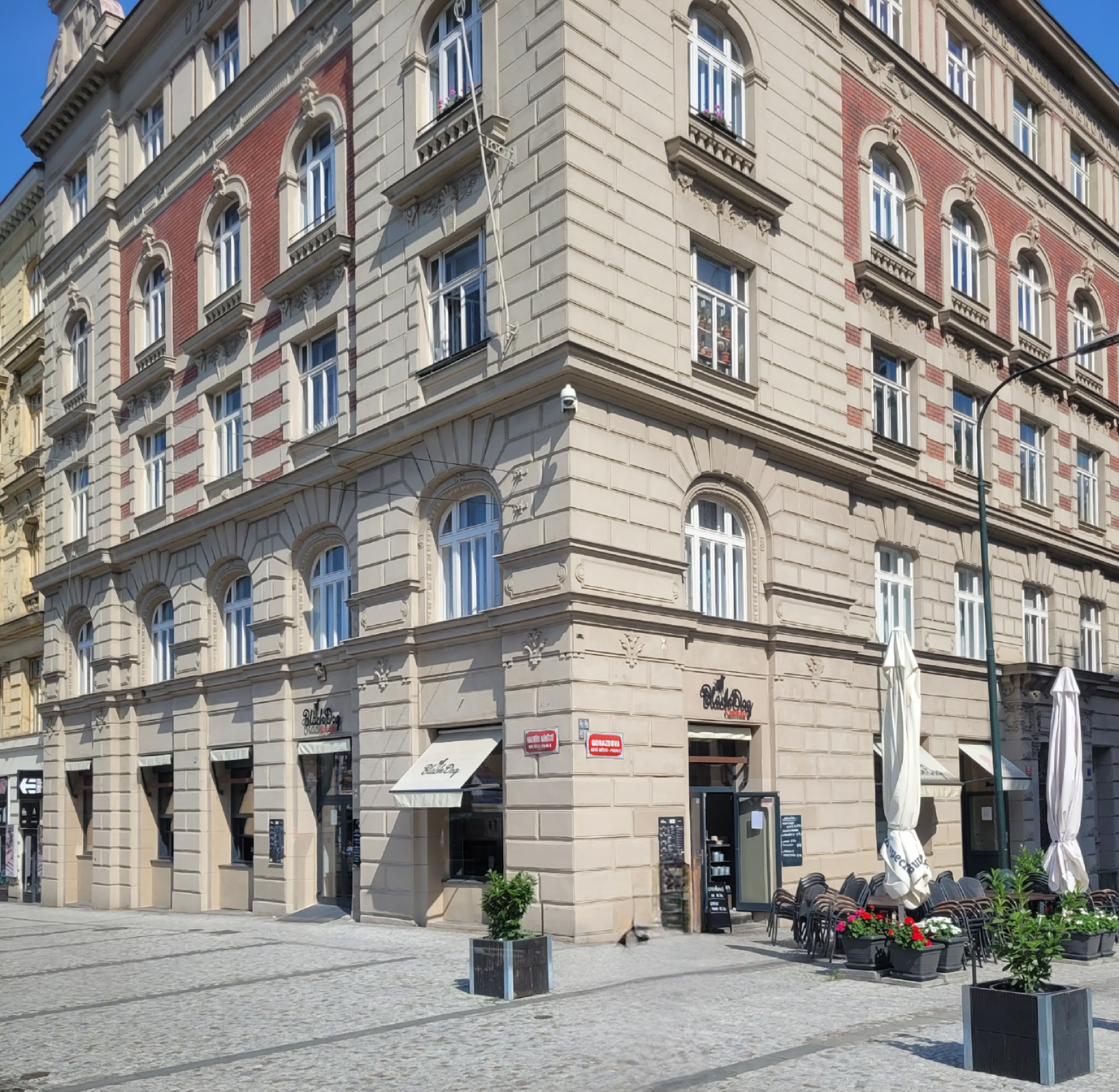 Black dog Cantina foto 6