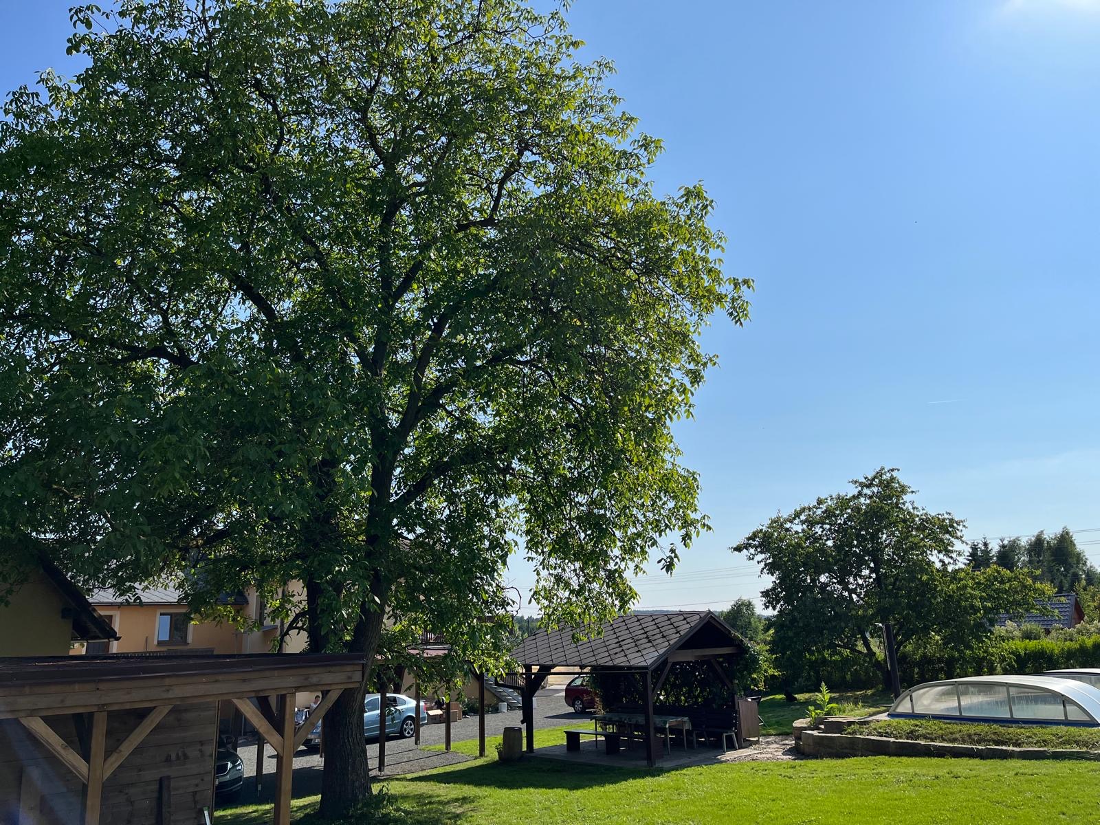 Apartmány Žlutý dům foto 4