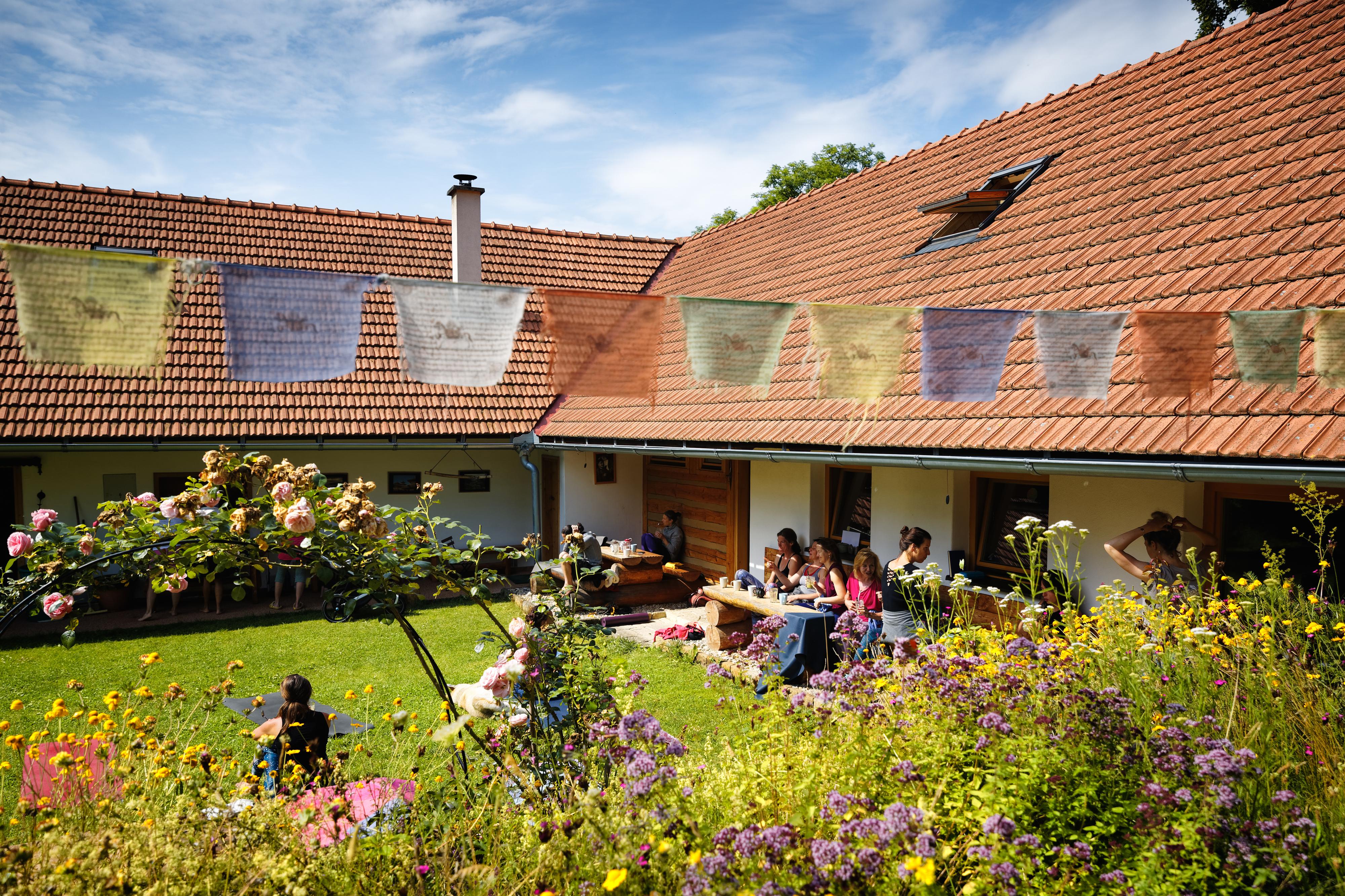 Mgr. Kateřina Rojková - GAIA TREE foto 2