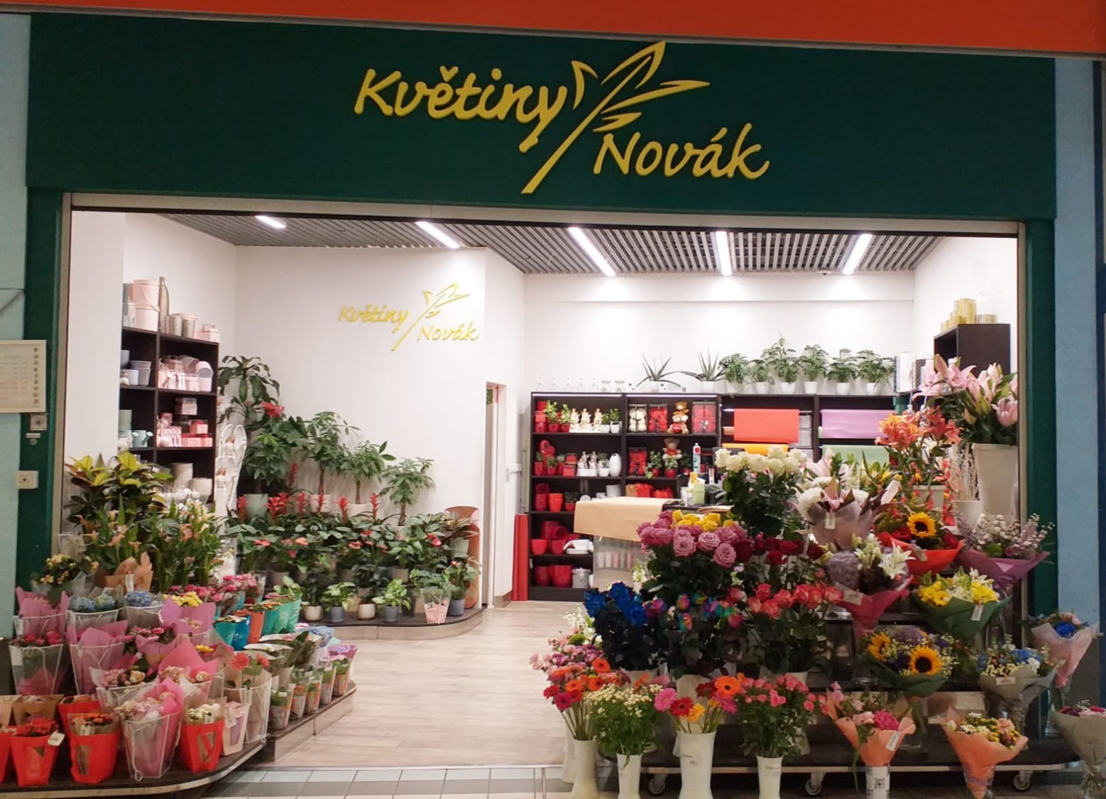 Květiny Novák foto 2