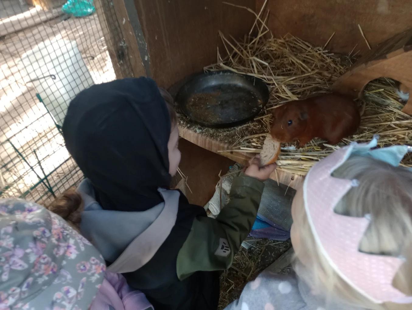 Lesní školka Rybička foto 4