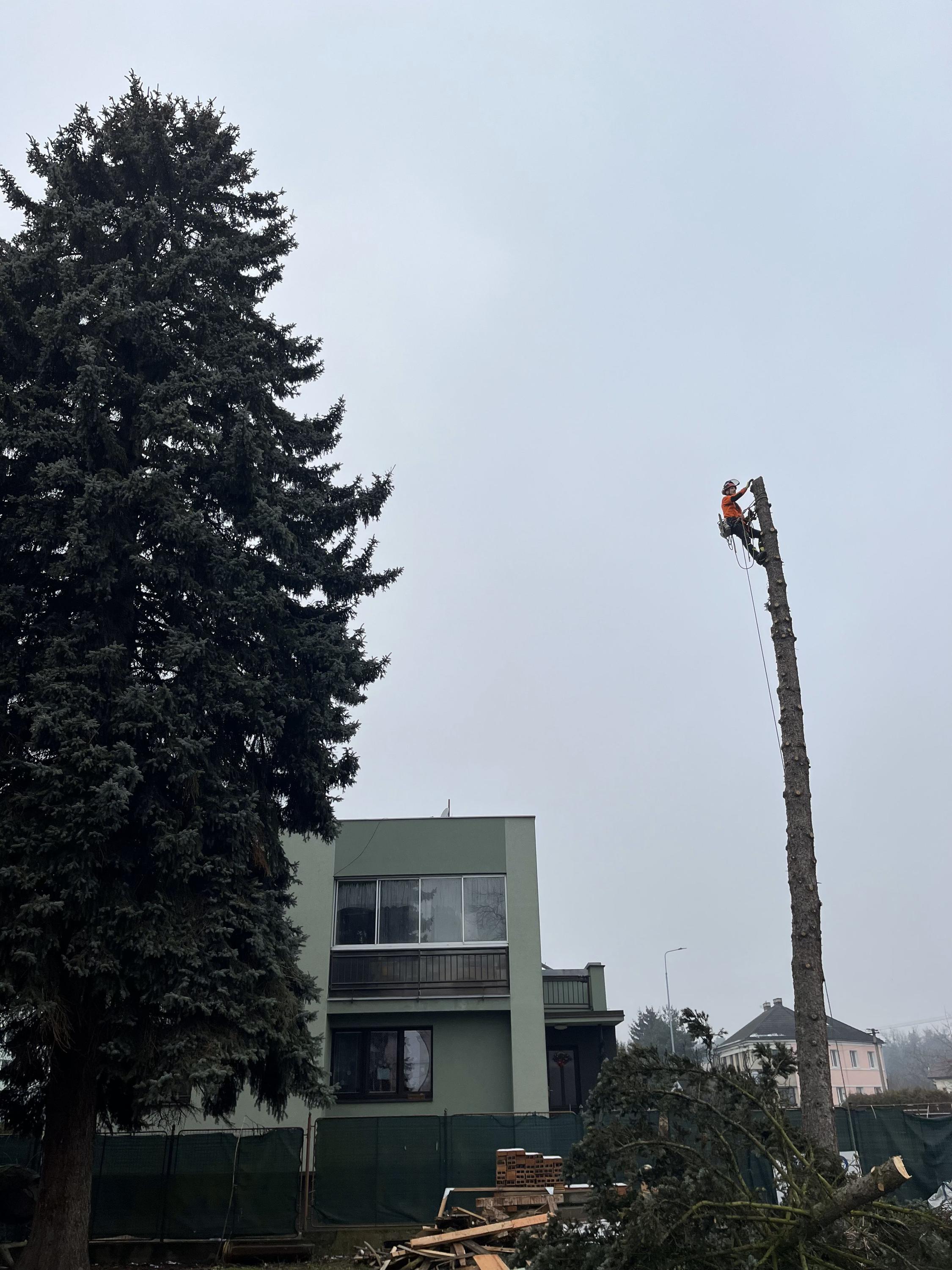 Ing. Lukáš Chramosta - Arboristické služby foto 5