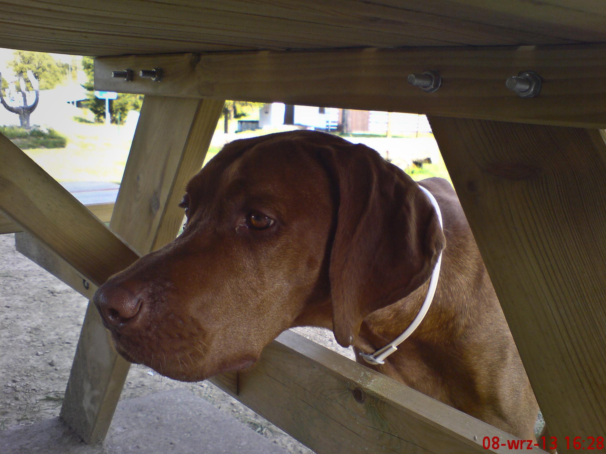 Chalupa Celnice foto 3