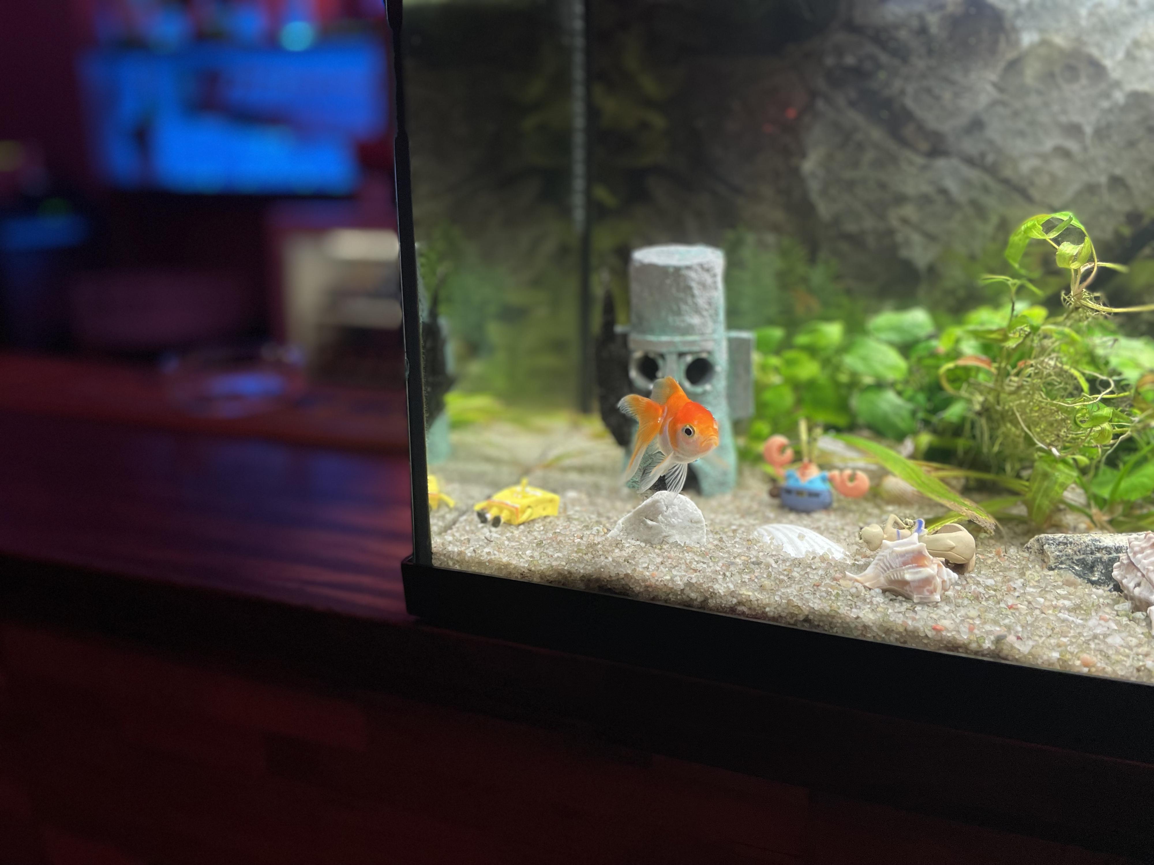 Club Lublaňská foto 3