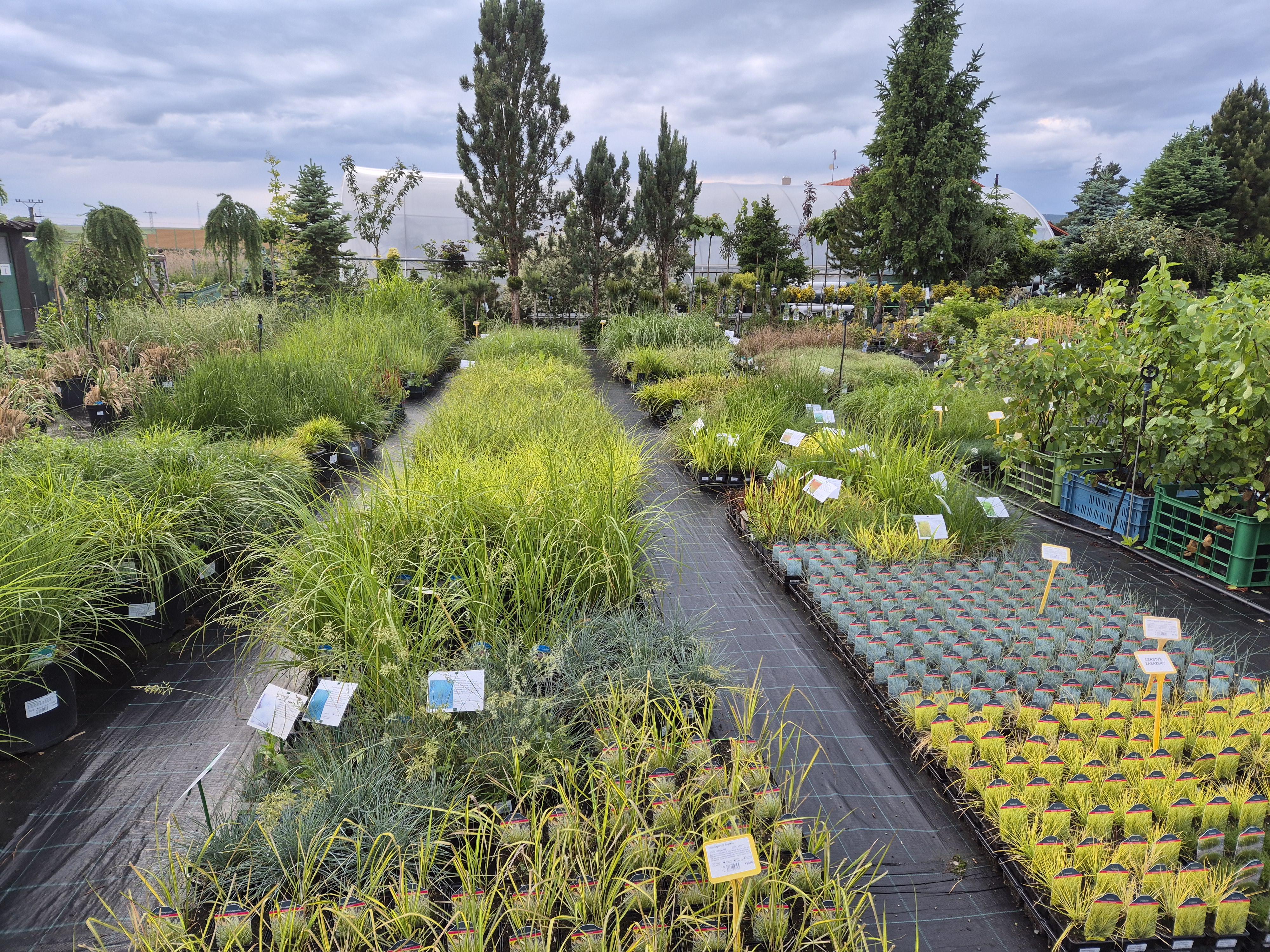 Zahradnictví Erica foto 5