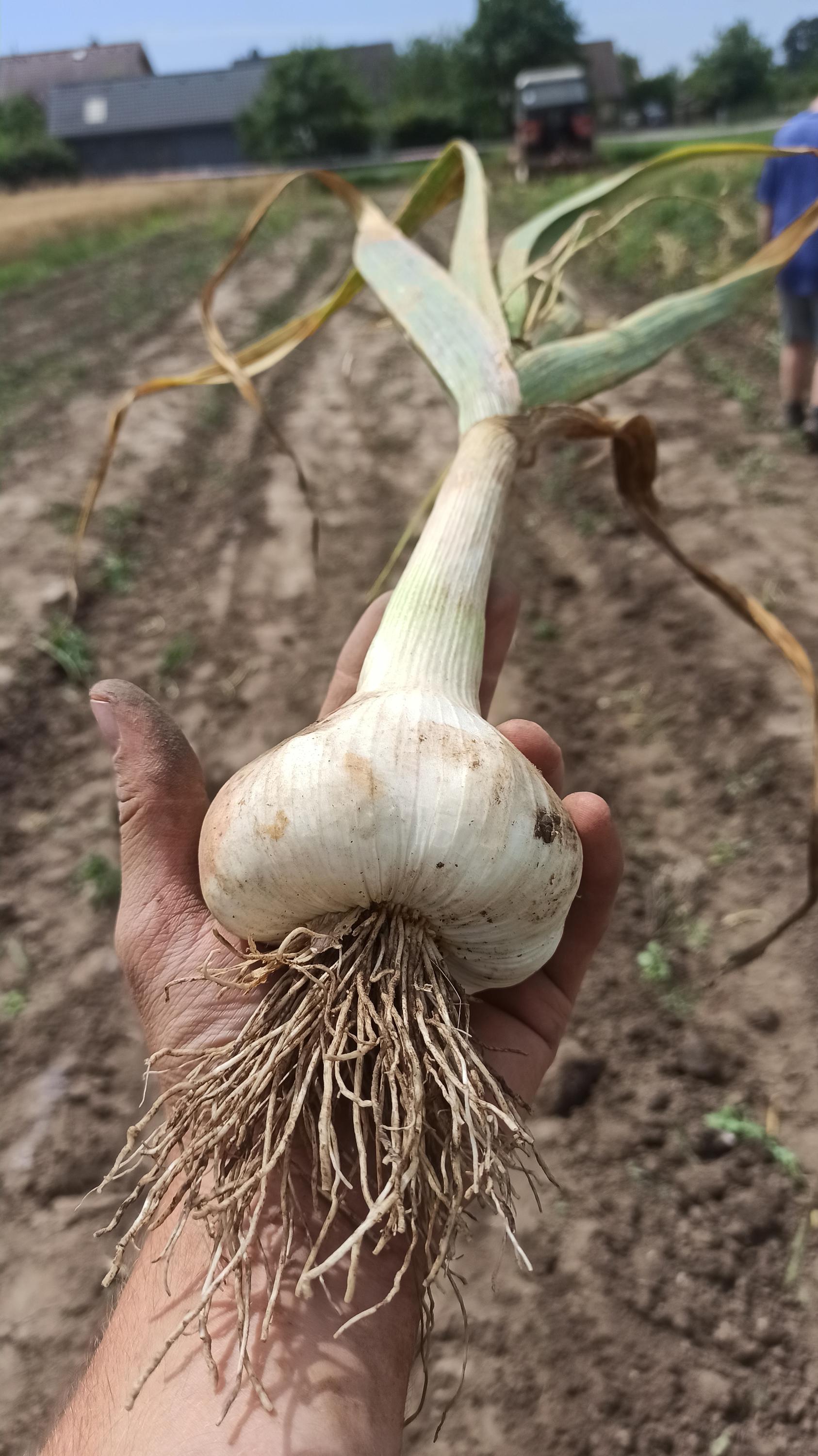 Farma Krajča foto 2