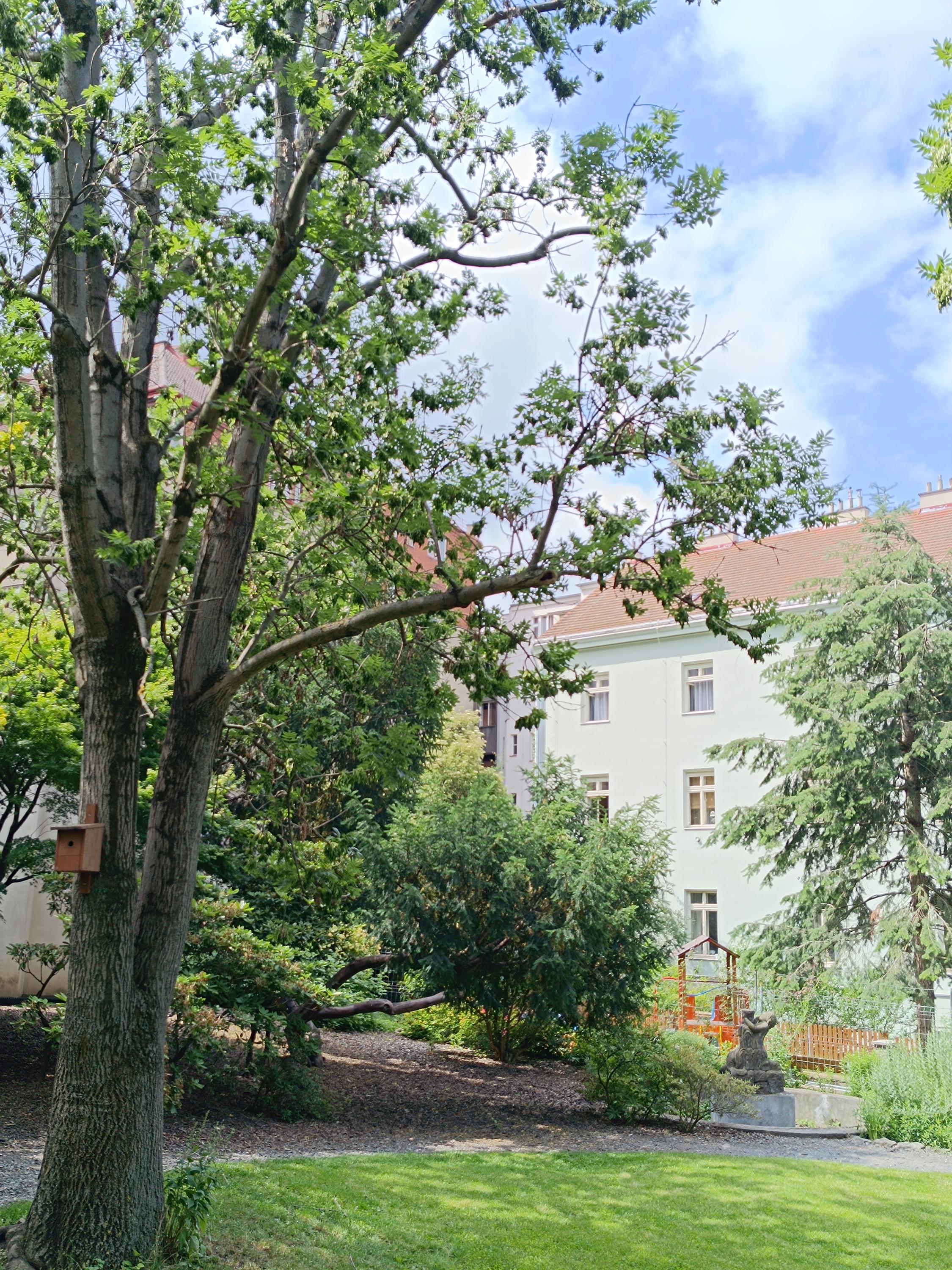 Dětská skupina Jahoda Albertov foto 3