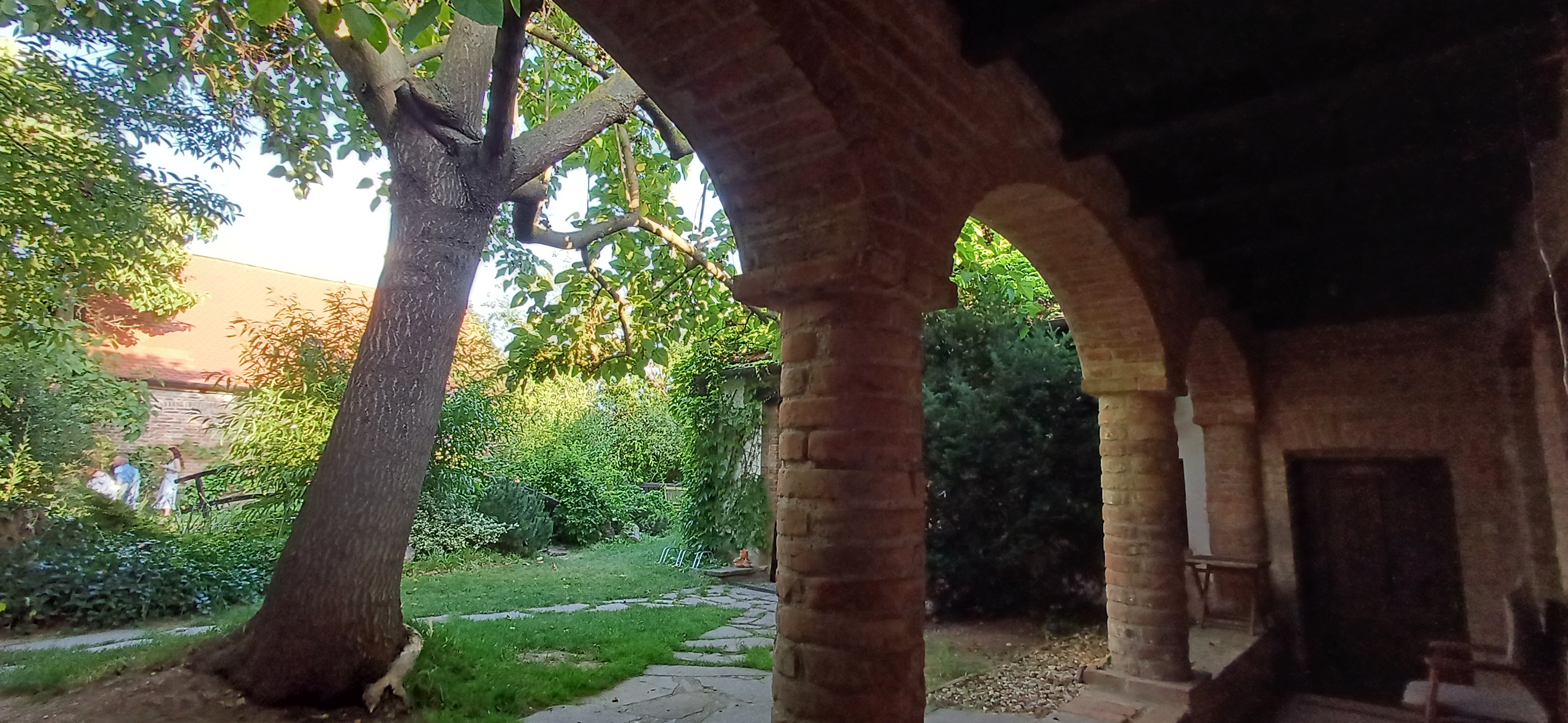 Restaurace Mezi vinicemi foto 6