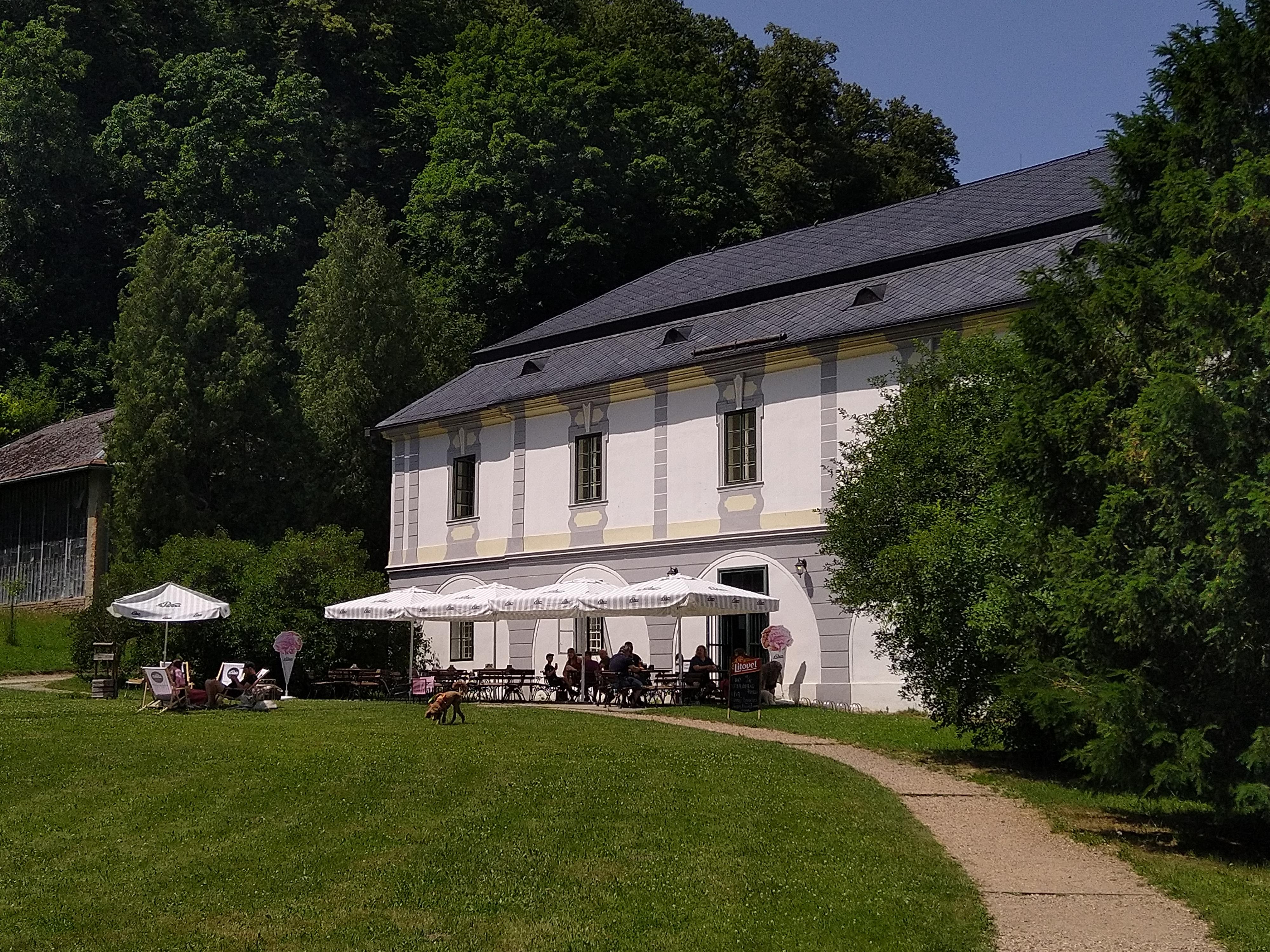 Zámecká kavárna Velké Losiny