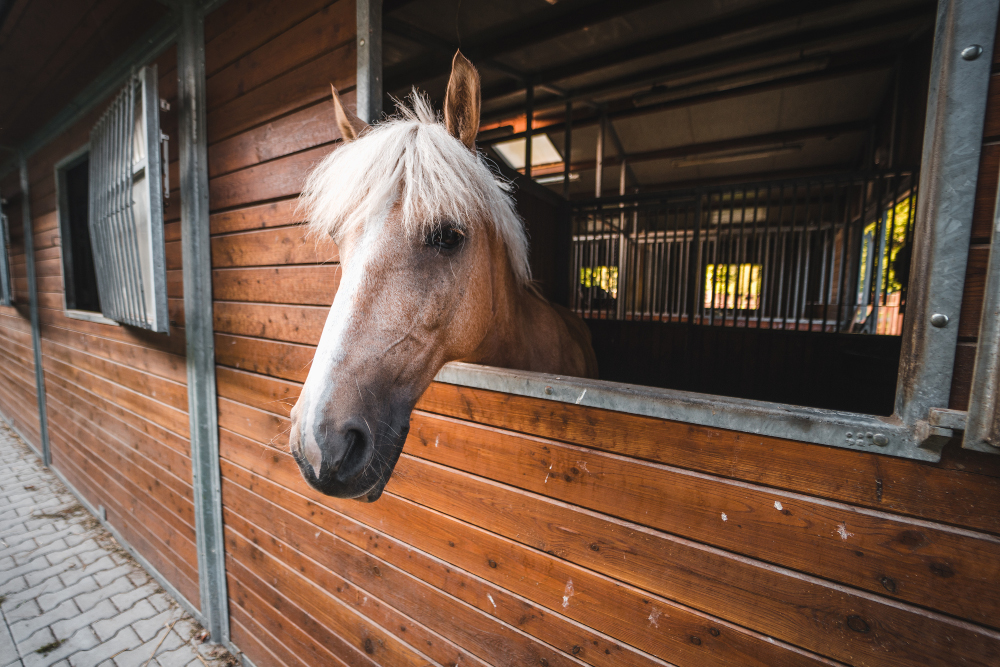 Jízdárna Kladno foto 3