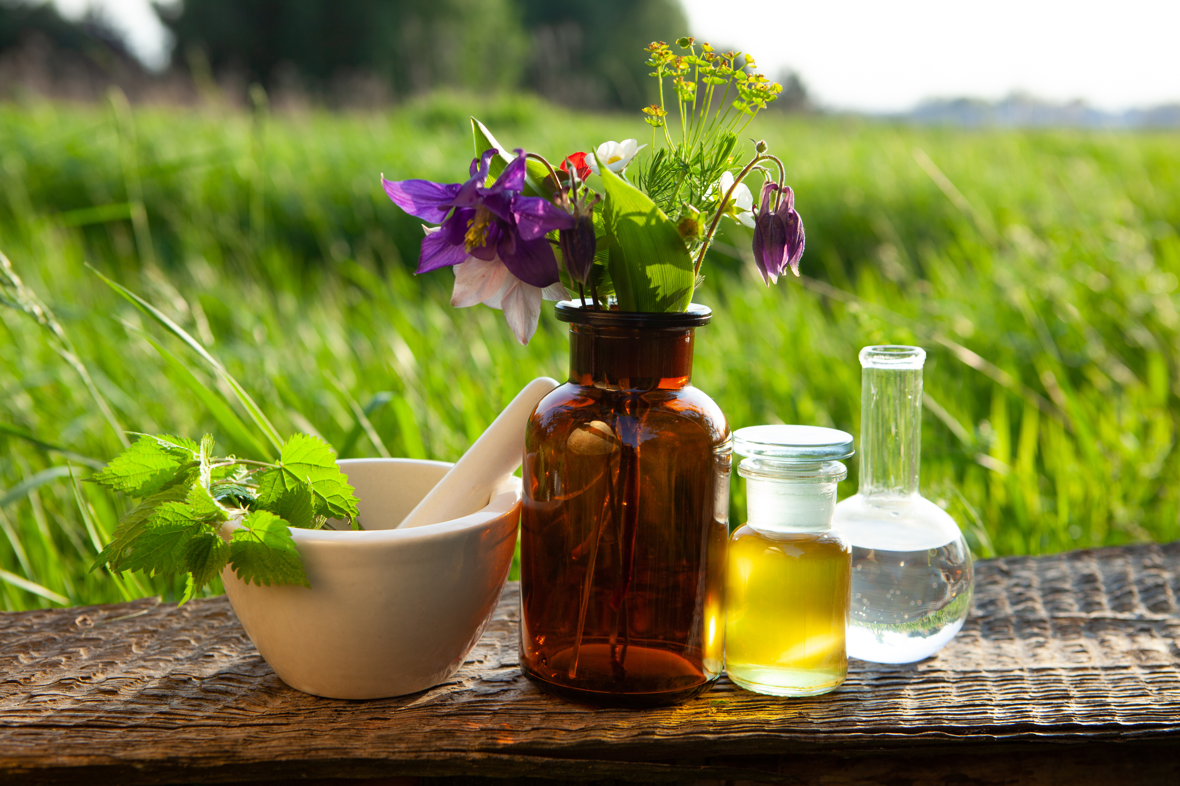 Naturopatie MVDr. Dagmar Földesová foto 4