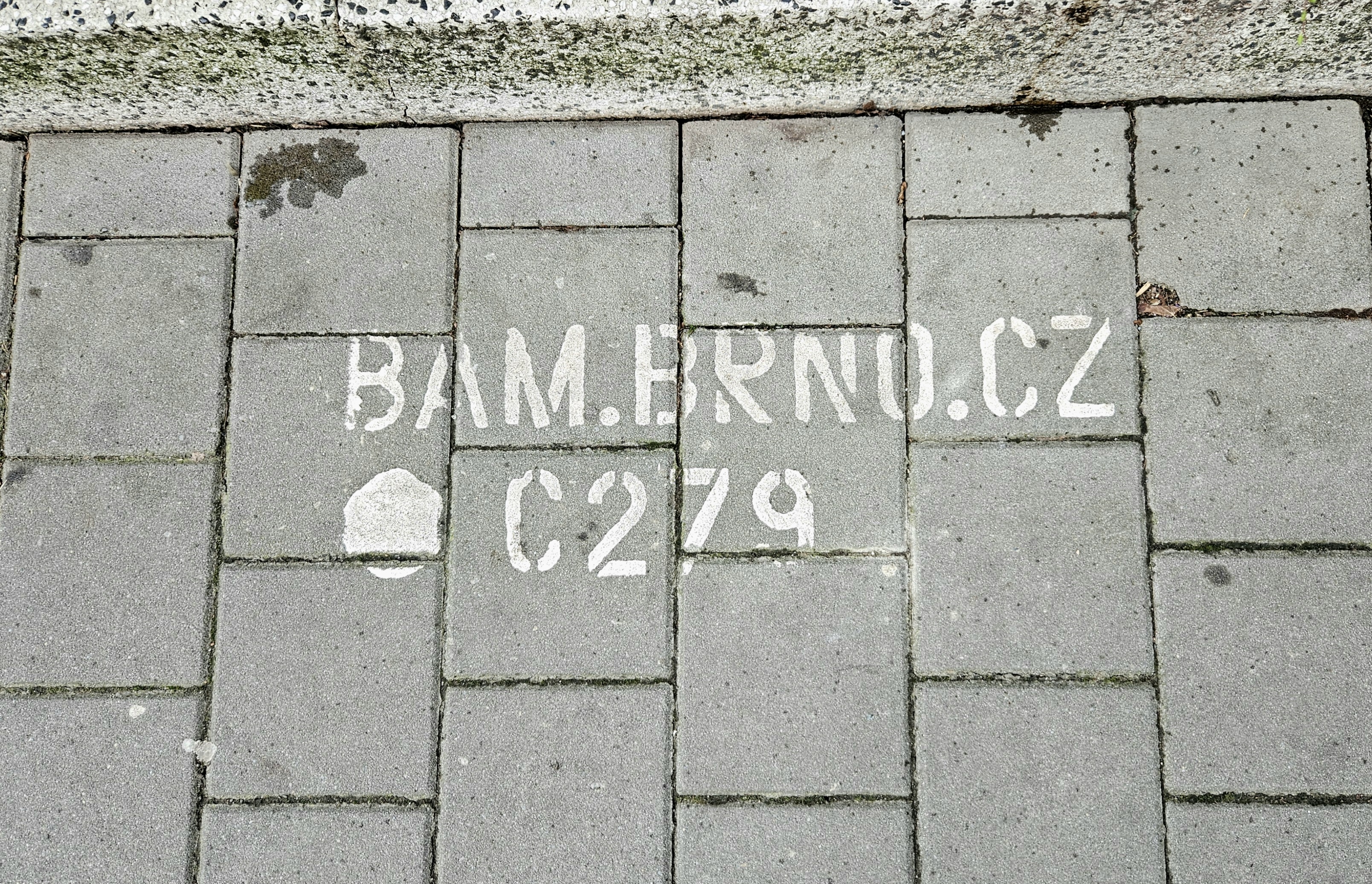 Kavárna Quido foto 5