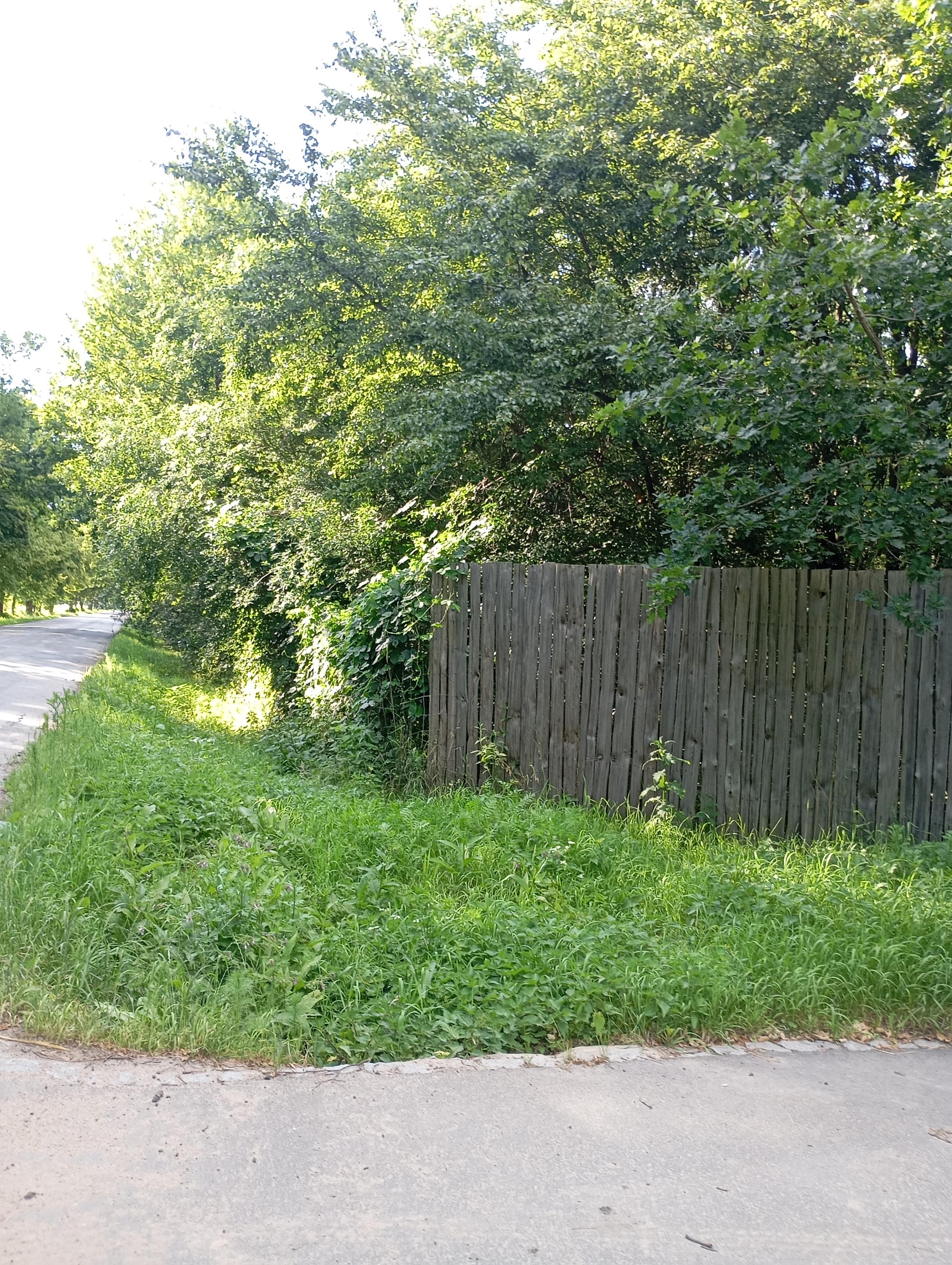 Glamping v Sadu foto 4