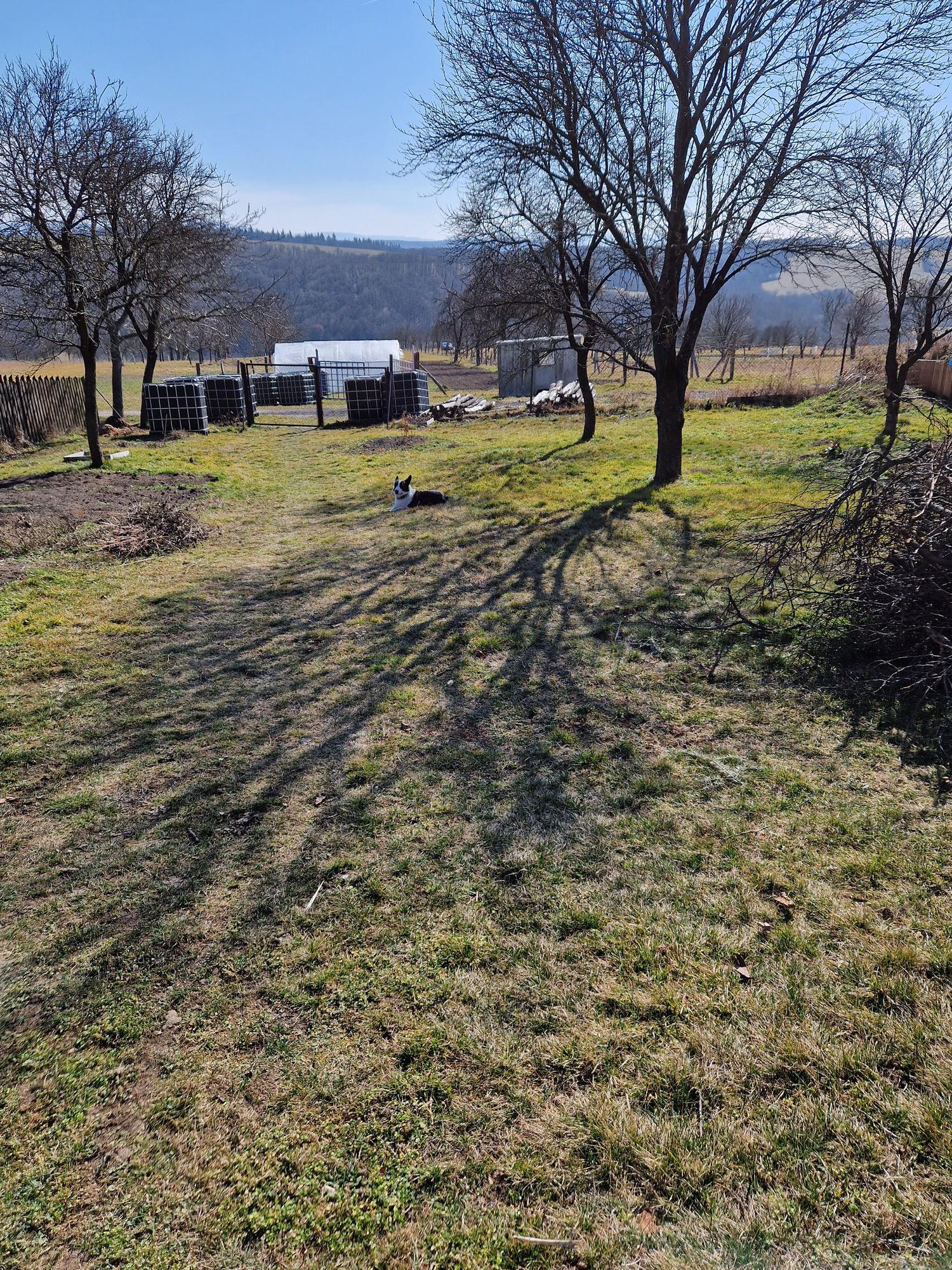 Napučené - květinová farma foto 6