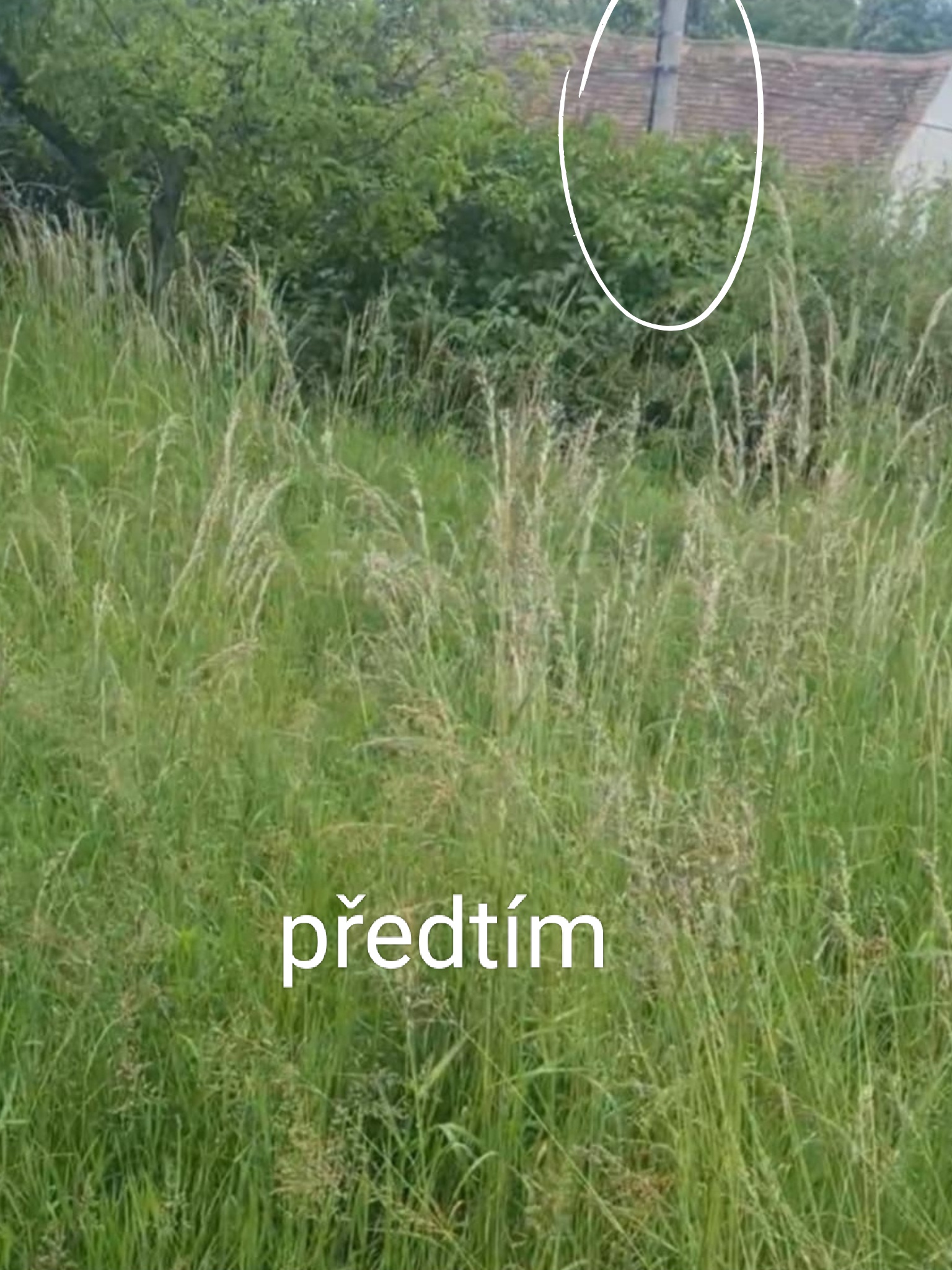 JM-Hodinový Manžel foto 2