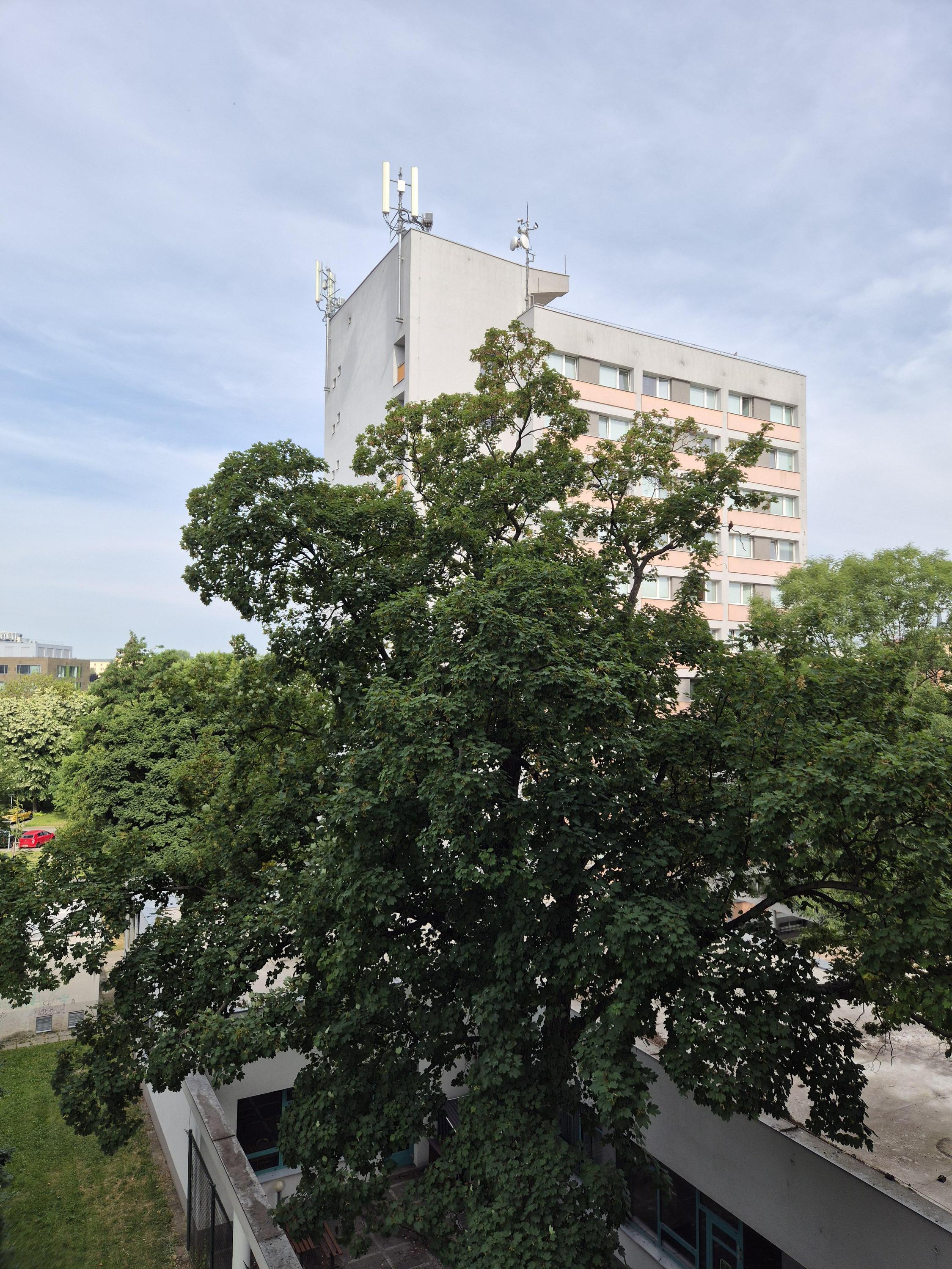 Kolej Bedřicha Václavka foto 3