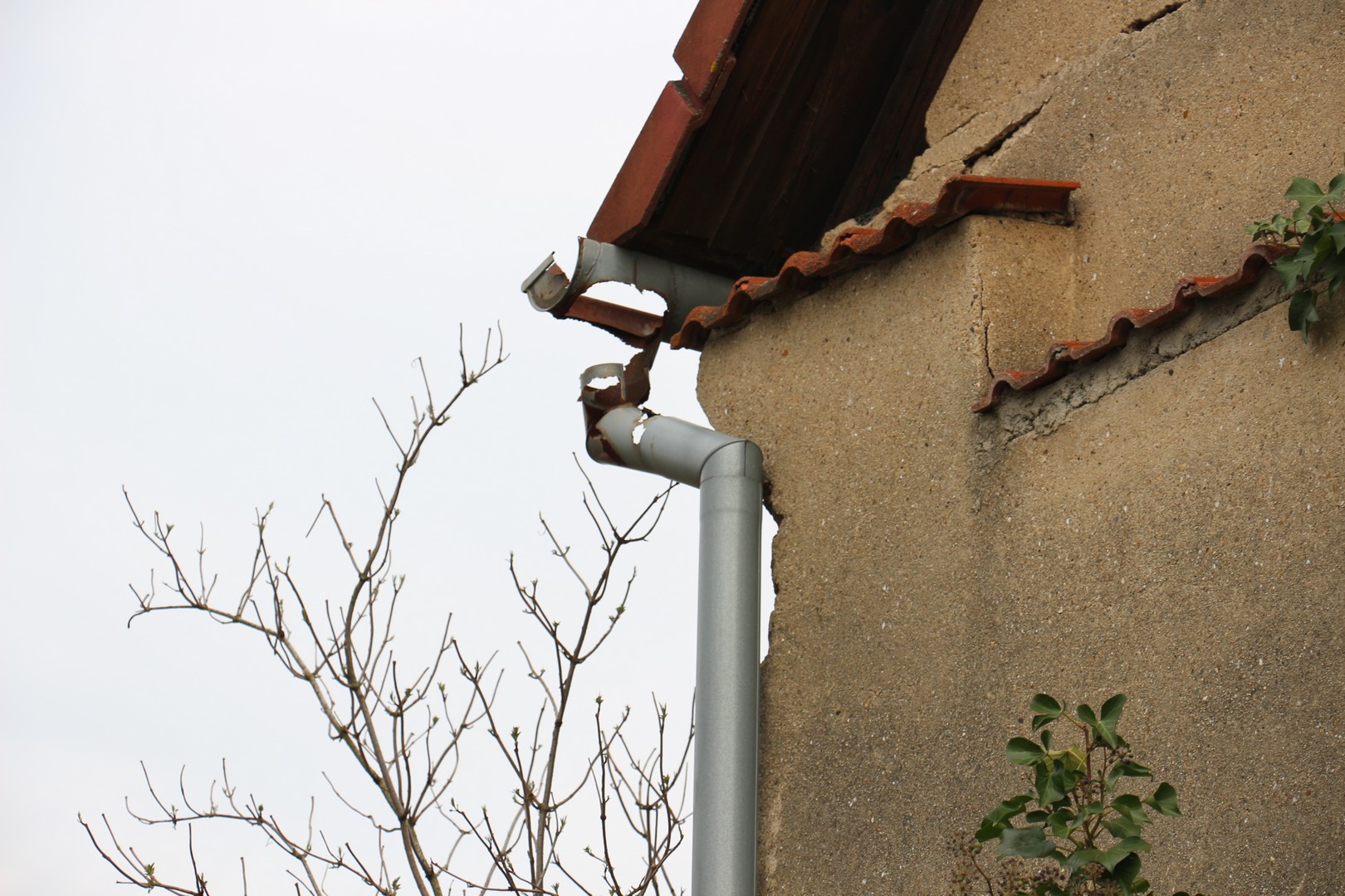 stavnemovitosti.cz foto 6