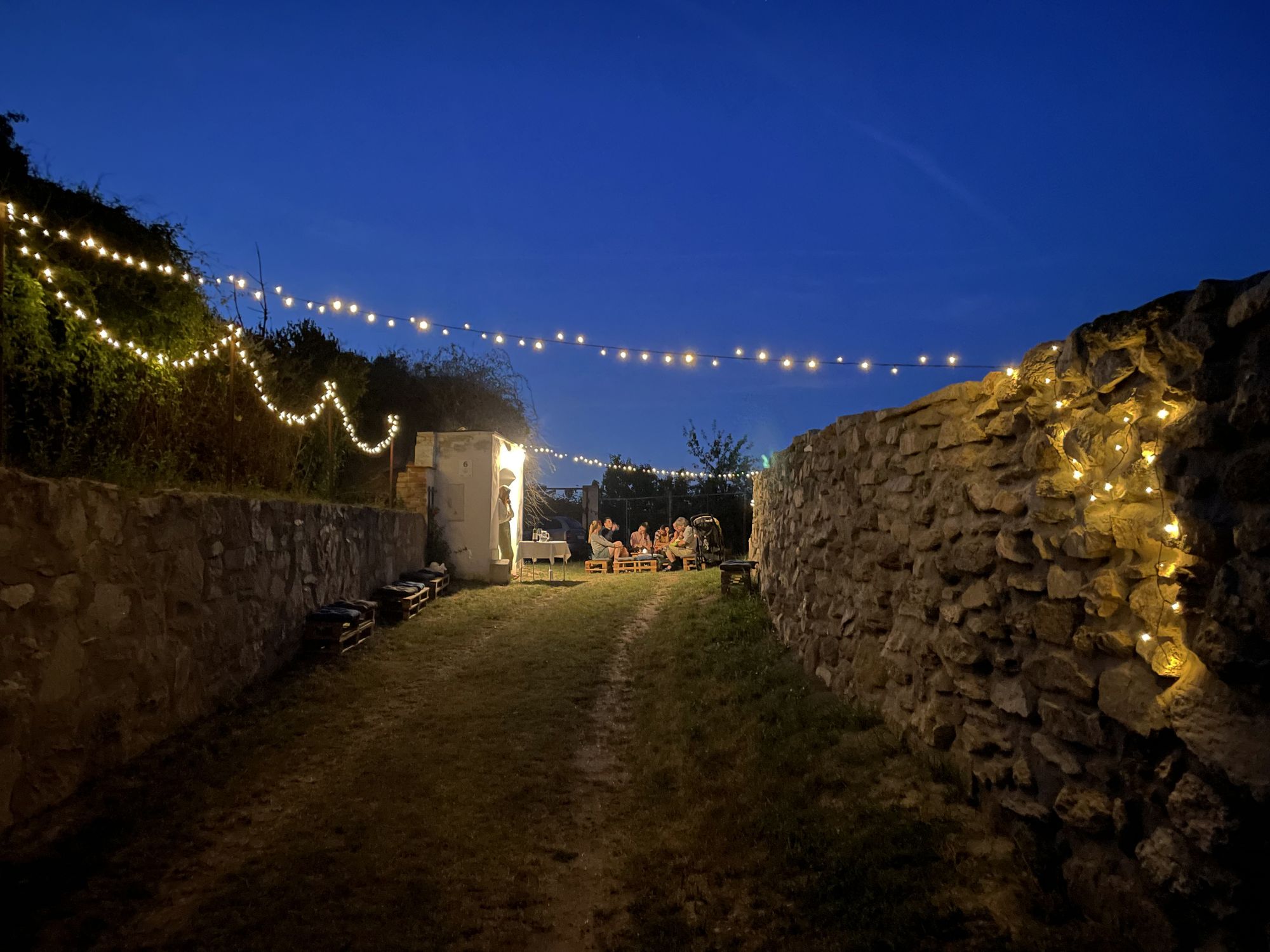 Vinařství Punk, s.r.o. foto 2