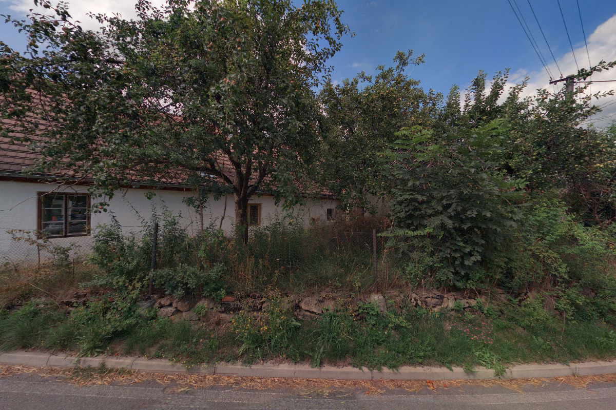 Ing. Petra Bušinová