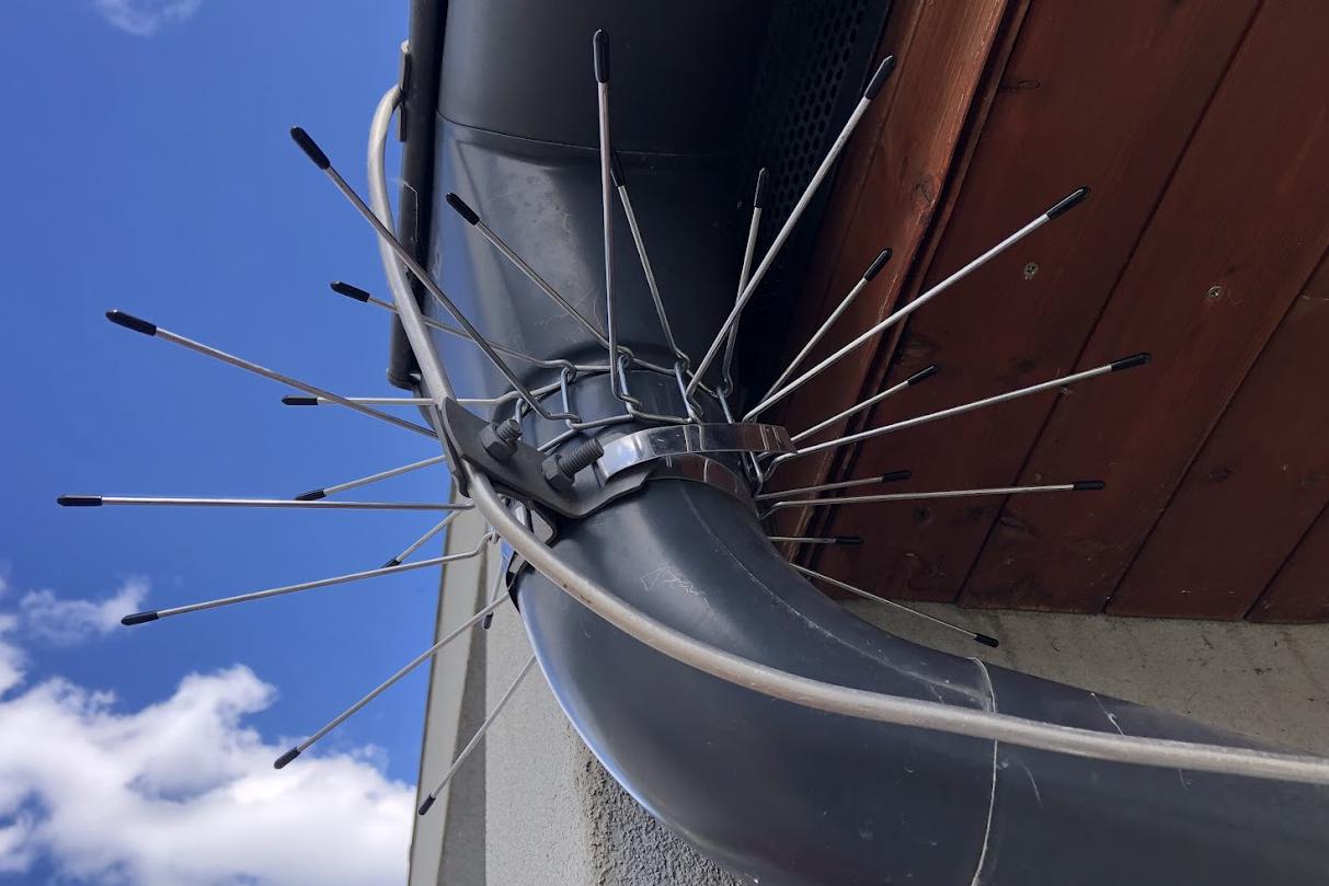 Instalace trnové ochrany proti kunám