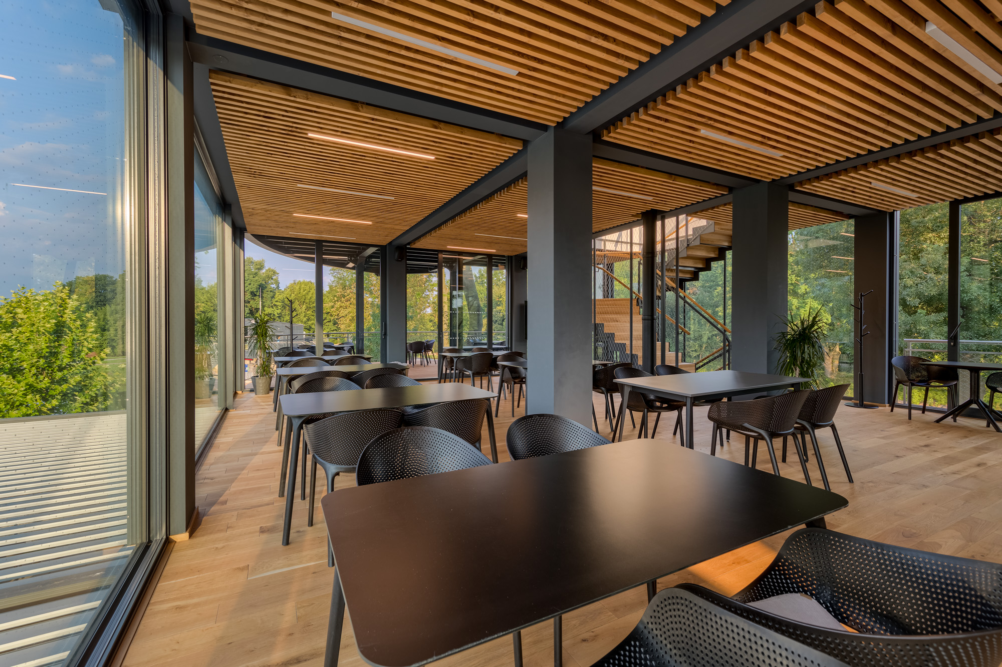 Bistro Dog in Dock foto 3