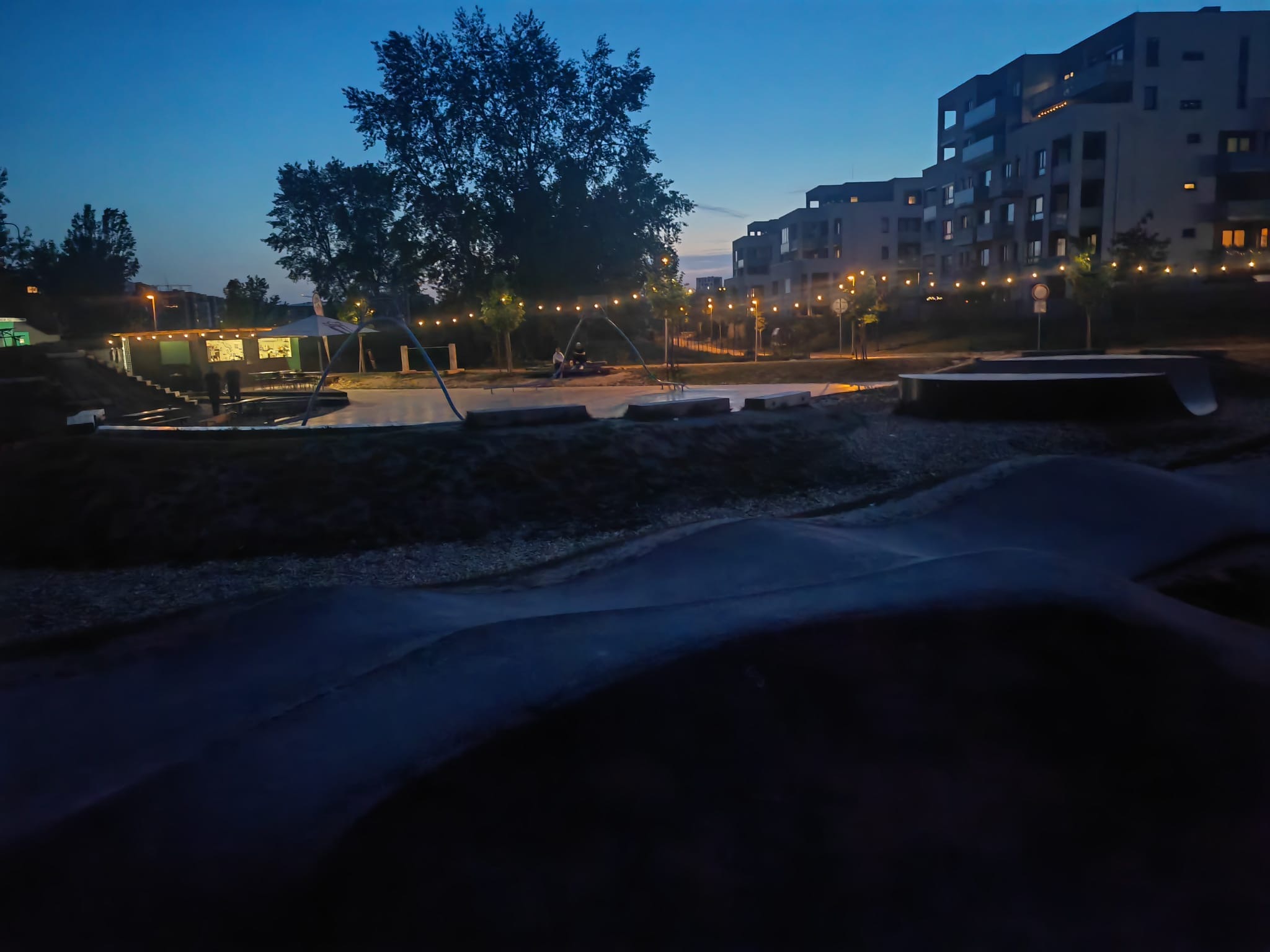 Hedgehog Café foto 2