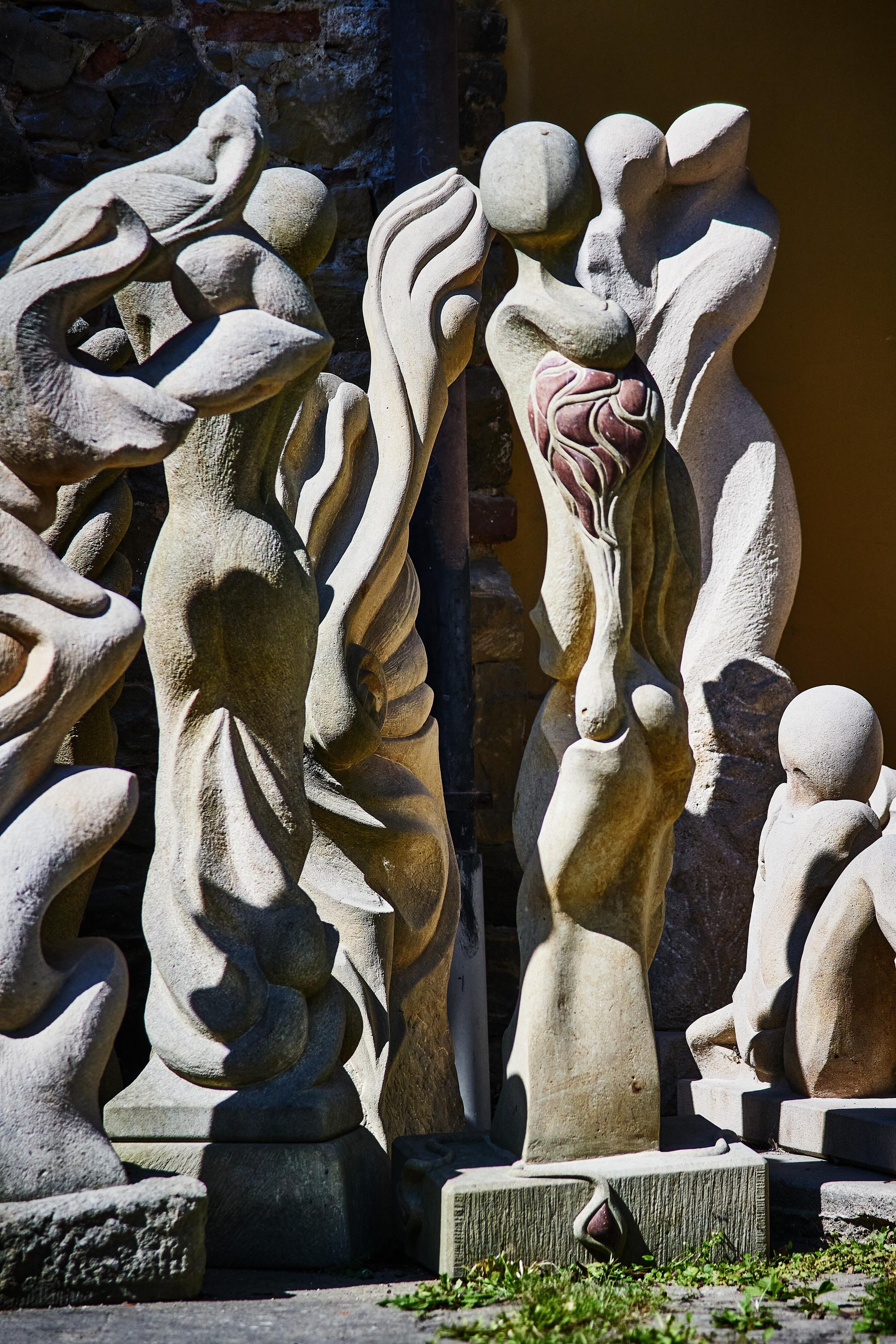 Dalibor Šebesta – DESIGN DAŘEK foto 3