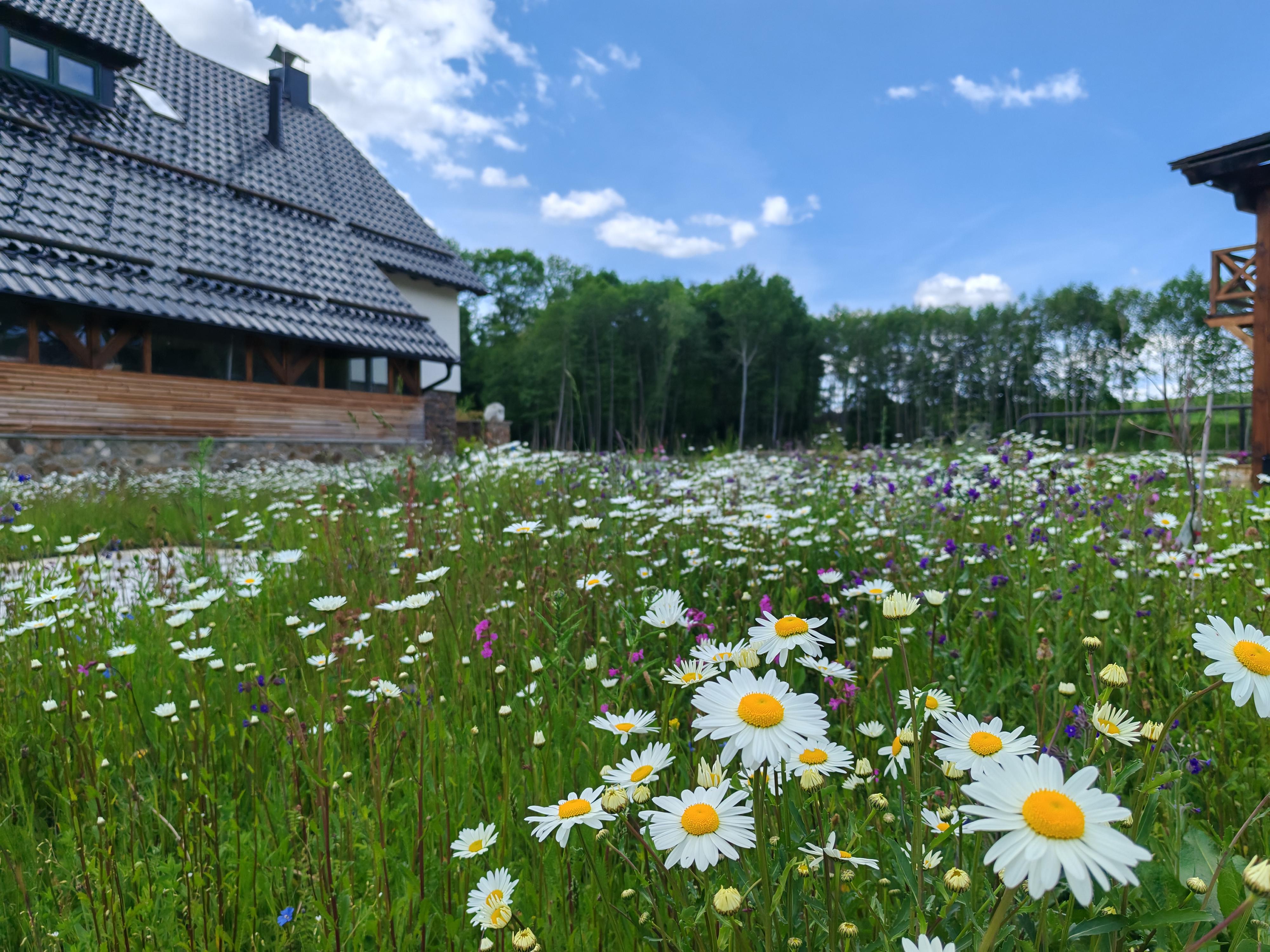 Obora Košetice foto 3