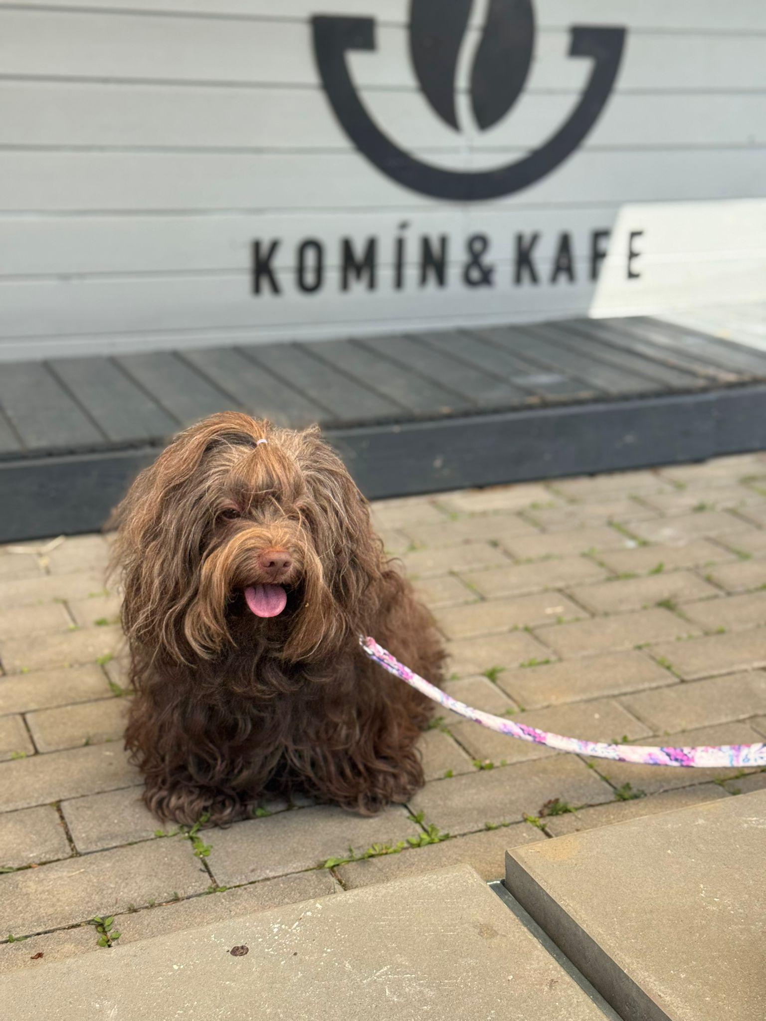 KOMÍN & KAFE foto 4