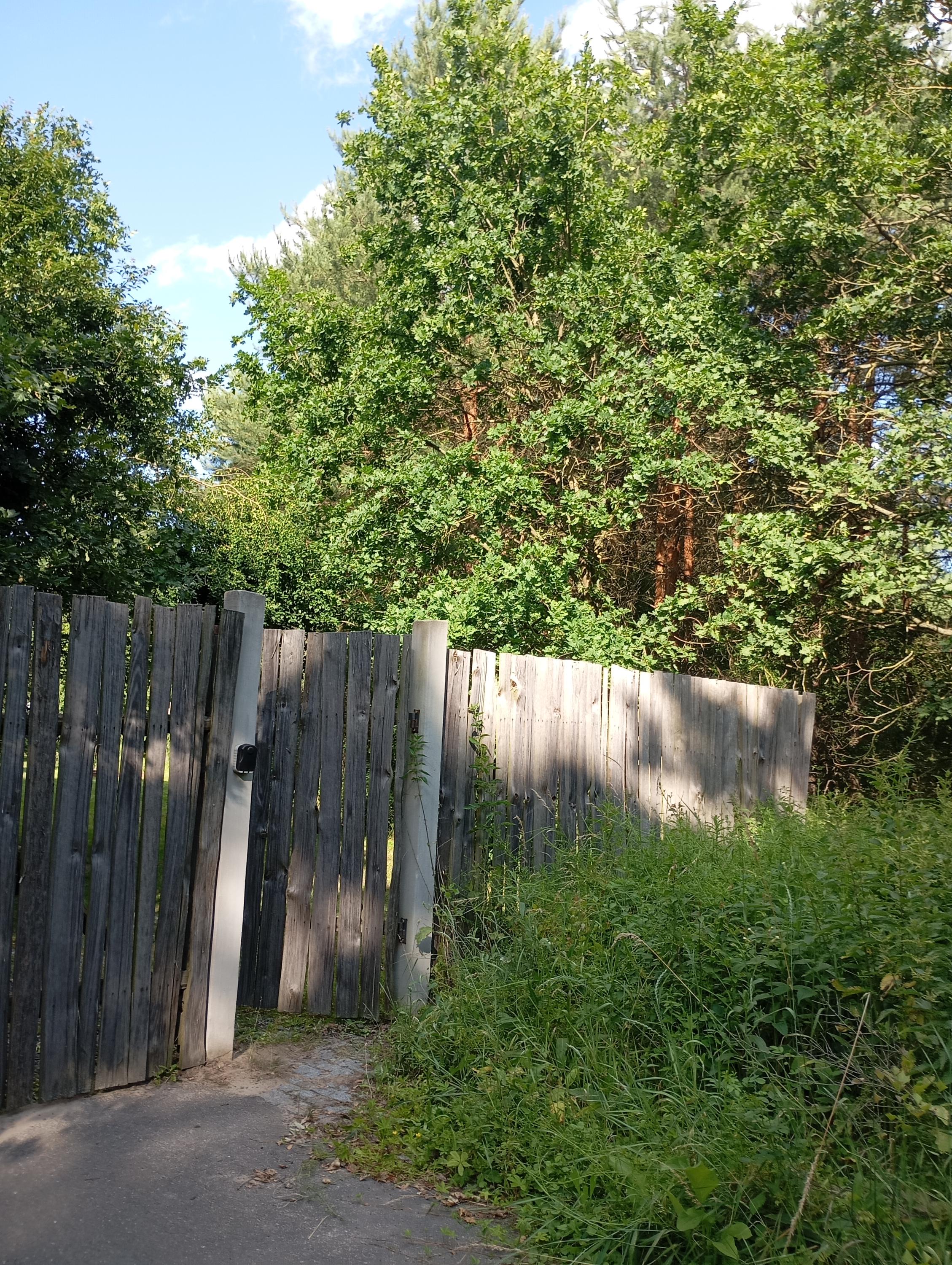 Glamping v Sadu foto 3