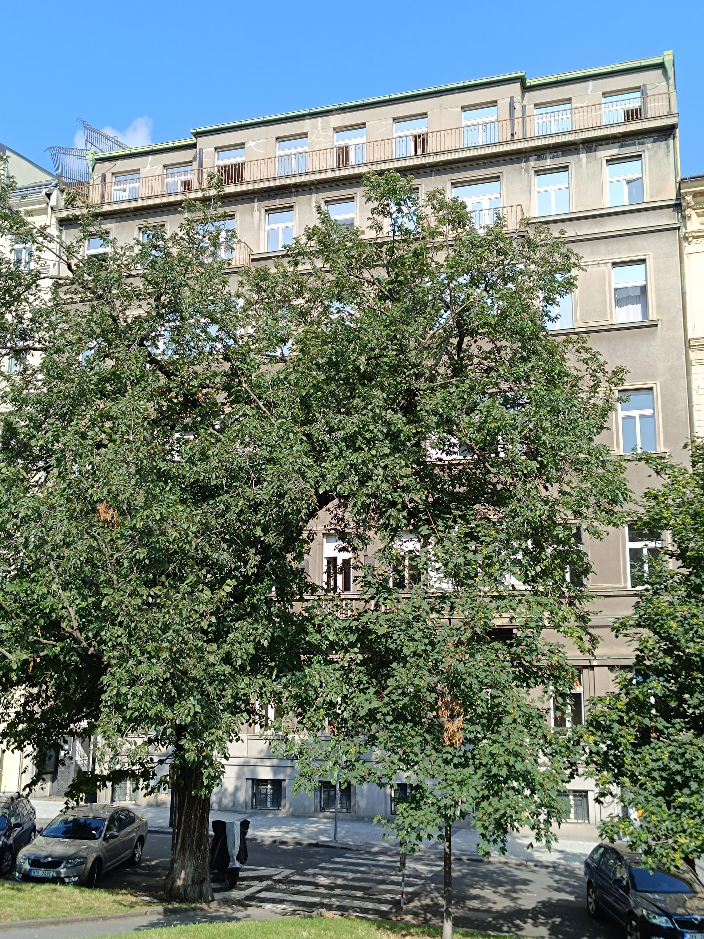 Celní úřad v Praze foto 2